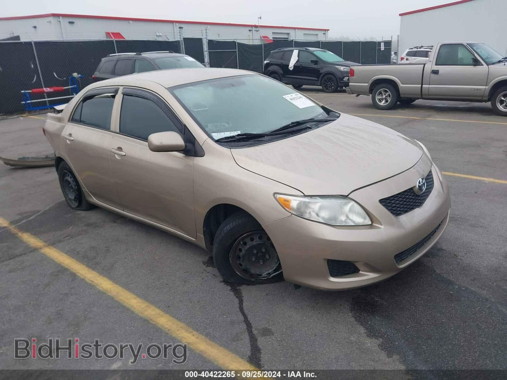 Photo 2T1BU4EE7AC423920 - TOYOTA COROLLA 2010