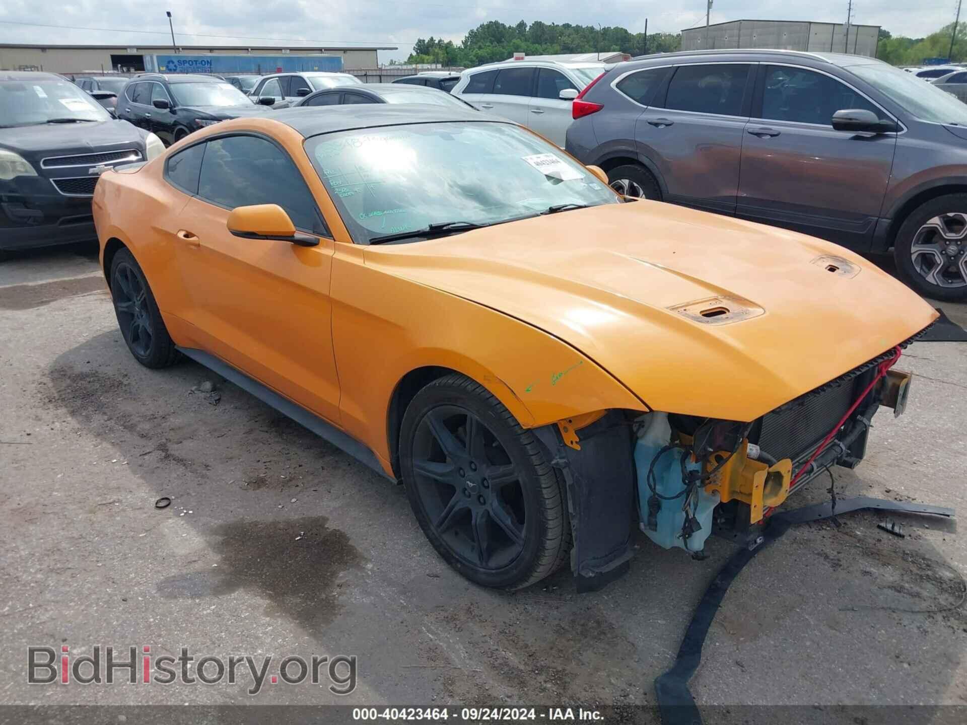 Фотография 1FA6P8TH7K5134294 - FORD MUSTANG 2019