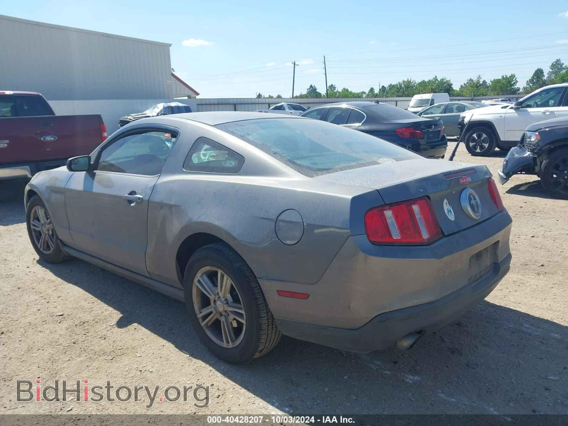 2011 FORD MUSTANG - VIN: 1ZVBP8AM9B5103103 - Фото 3