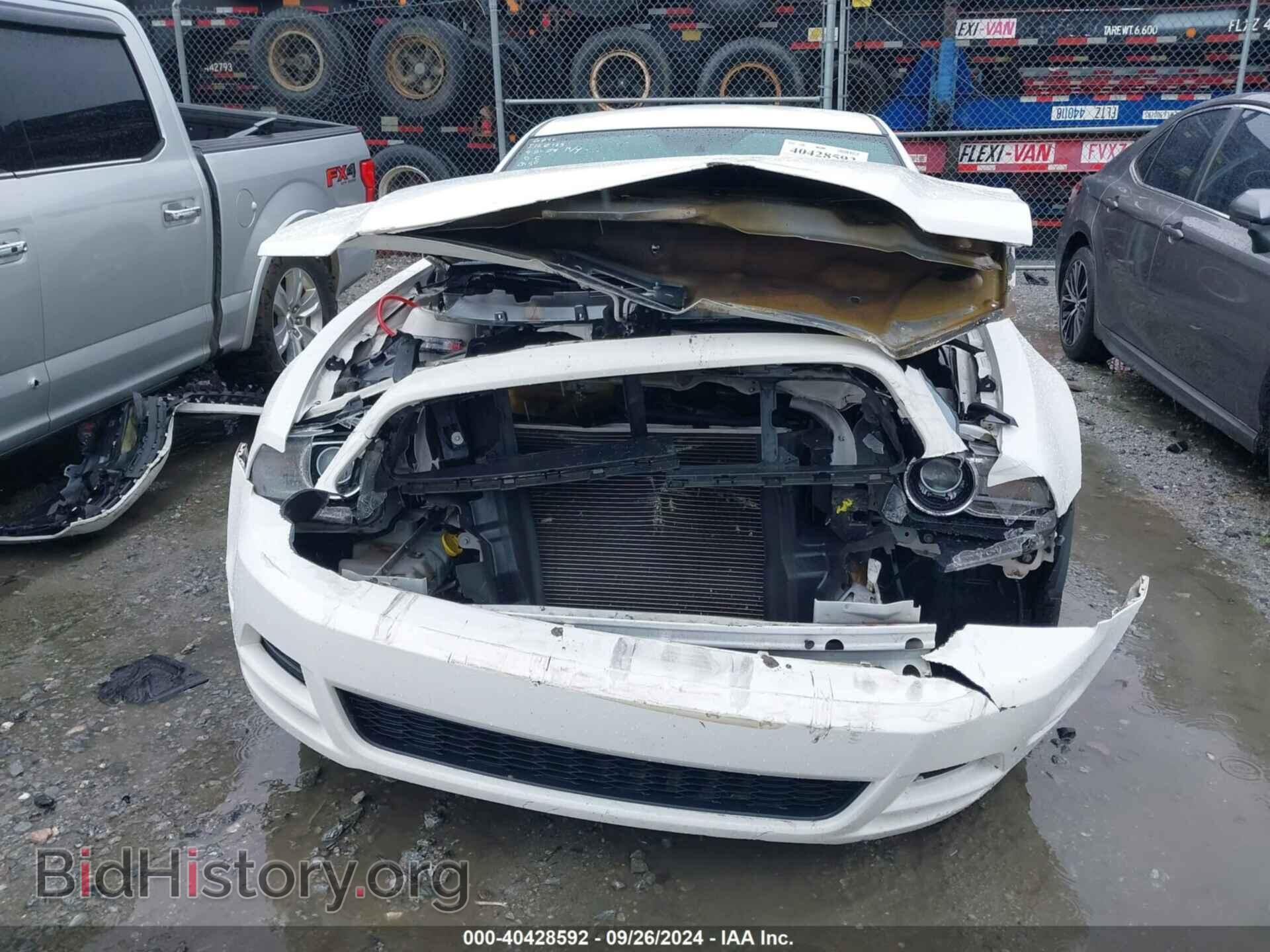 2013 FORD MUSTANG - VIN: 1ZVBP8AM4D5229548 - Фото 6