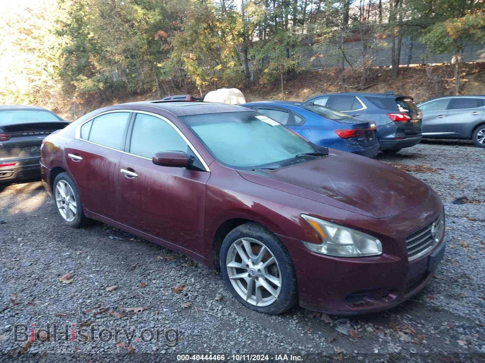 Фотография 1N4AA5AP2BC835261 - NISSAN MAXIMA 2011
