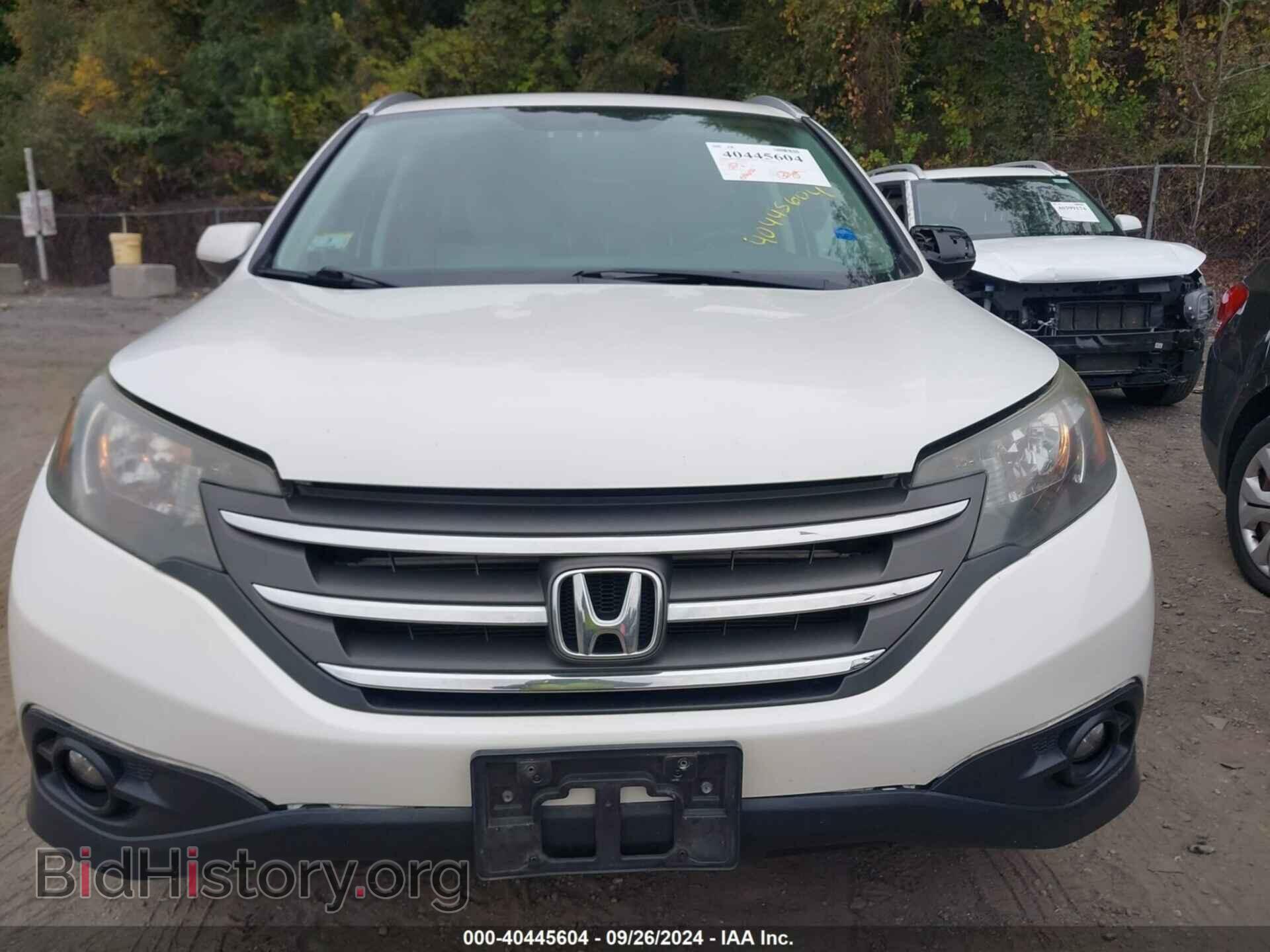 2012 HONDA CR-V - VIN: 5J6RM4H75CL003672 - Фото 12