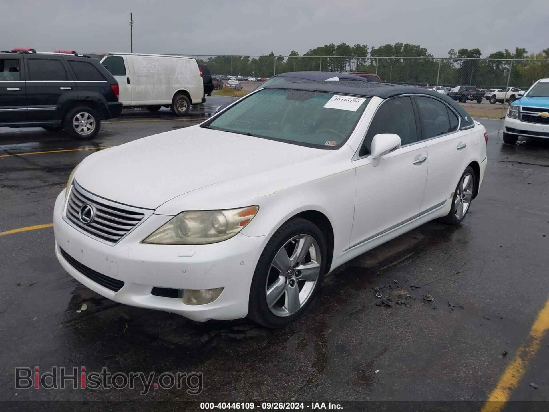 2010 LEXUS LS 460 - VIN: JTHBL5EF8A5098563 - Фото 2