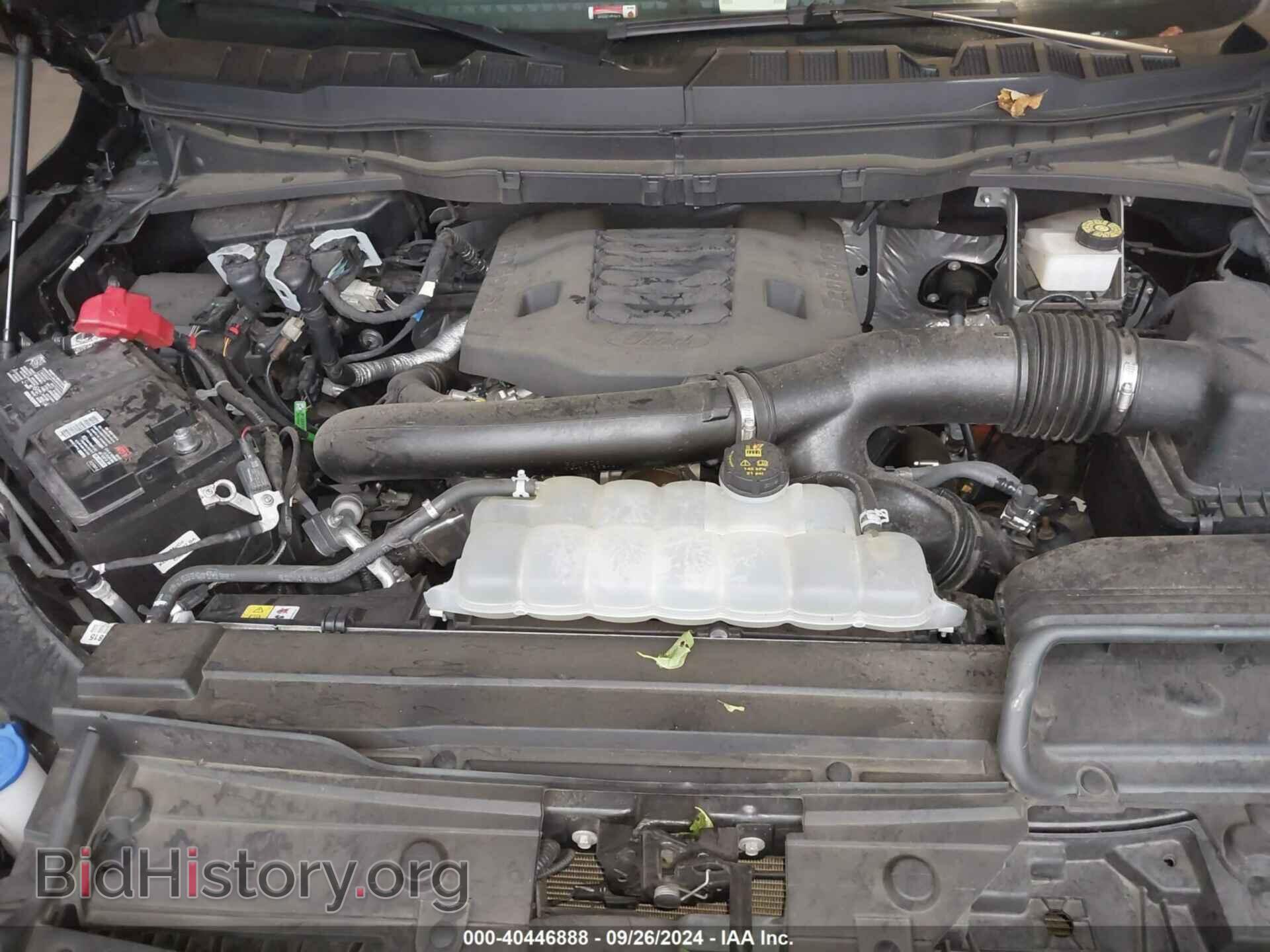2023 FORD F-150 - VIN: 1FTEW1E81PFB43913 - Фото 10