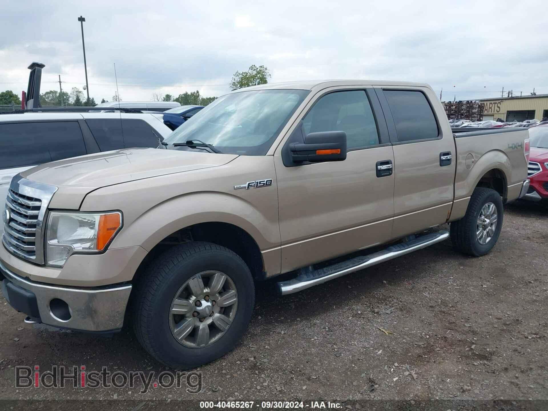 2011 FORD F-150 - VIN: 1FTFW1EF1BFC12174 - Фото 2