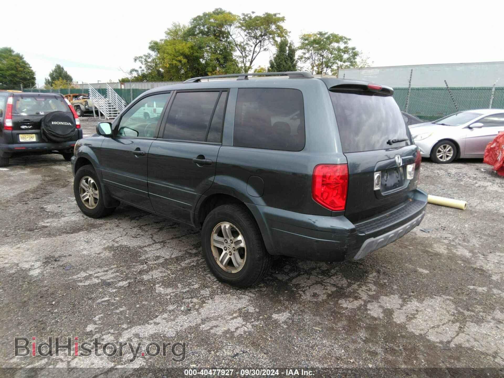2005 HONDA PILOT - VIN: 5FNYF18655B050627 - Фото 3