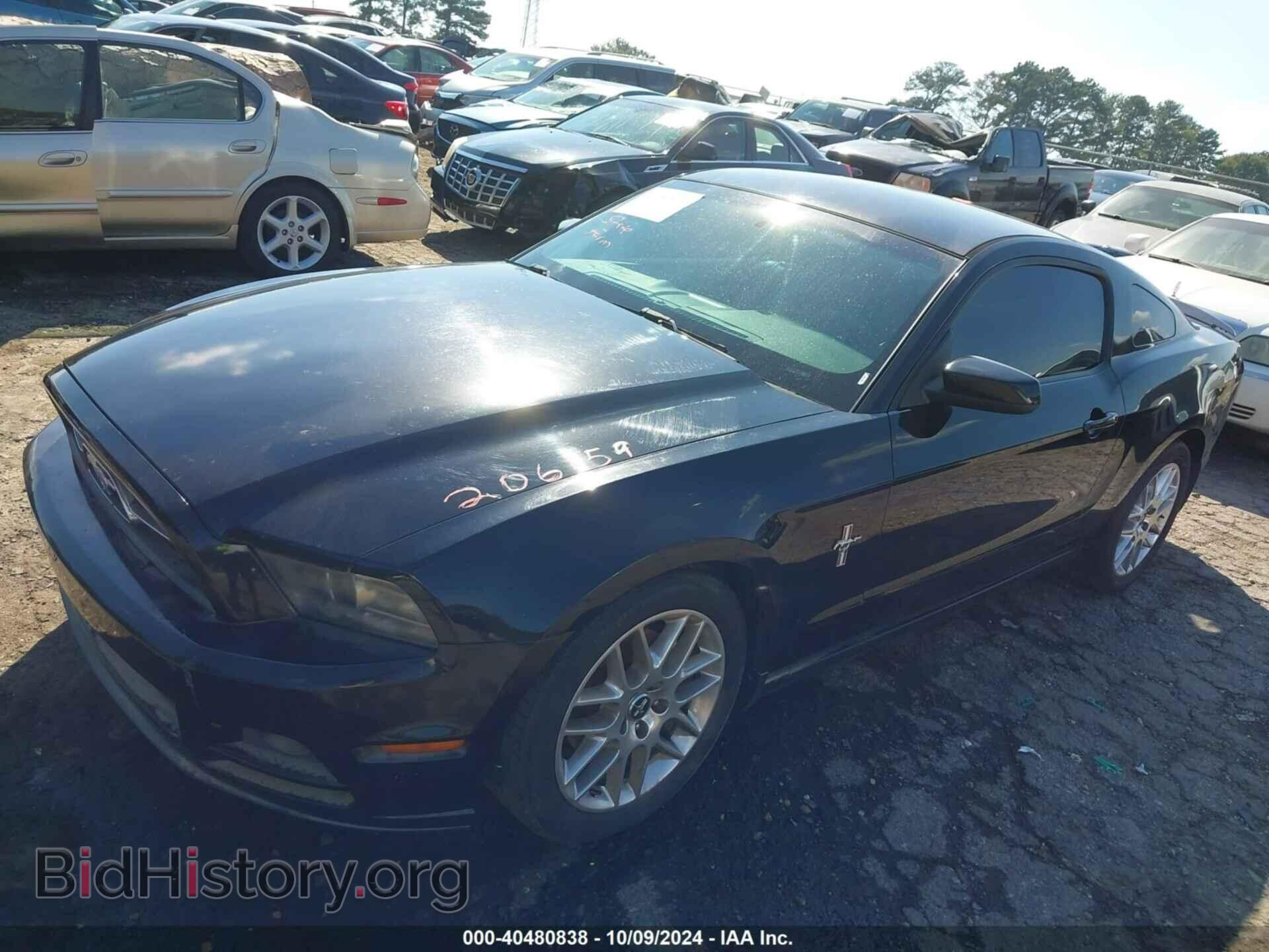 2013 FORD MUSTANG - VIN: 1ZVBP8AMXD5206159 - Фото 2