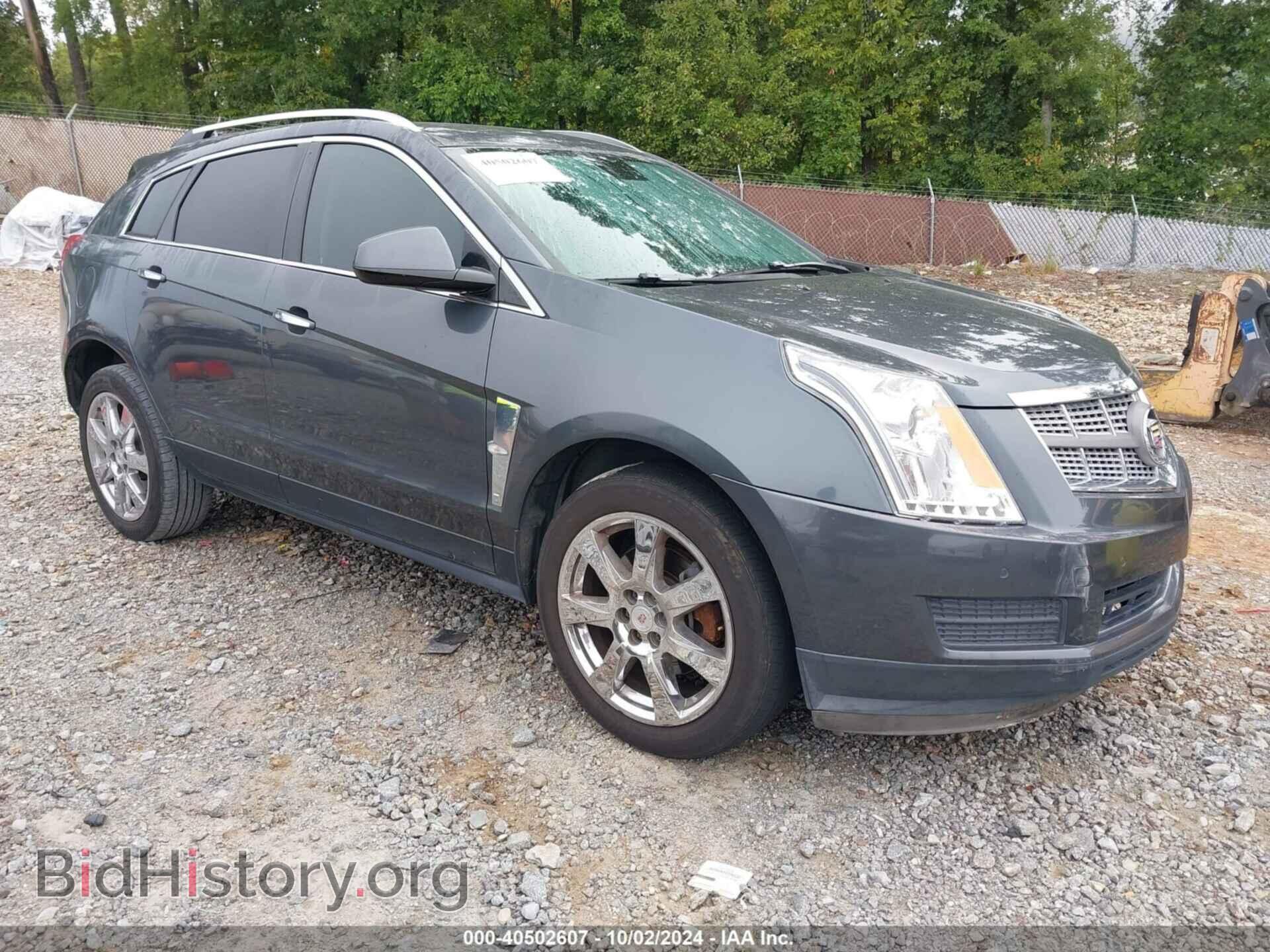 Фотография 3GYFNAEY4AS600069 - CADILLAC SRX 2010