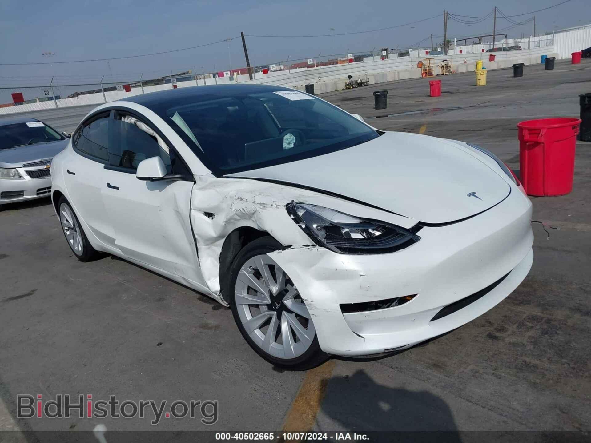 Photo 5YJ3E1EA6PF616299 - TESLA MODEL 3 2023