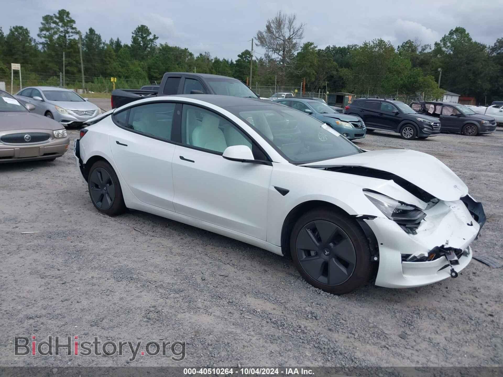 Photo 5YJ3E1EA1MF853715 - TESLA MODEL 3 2021