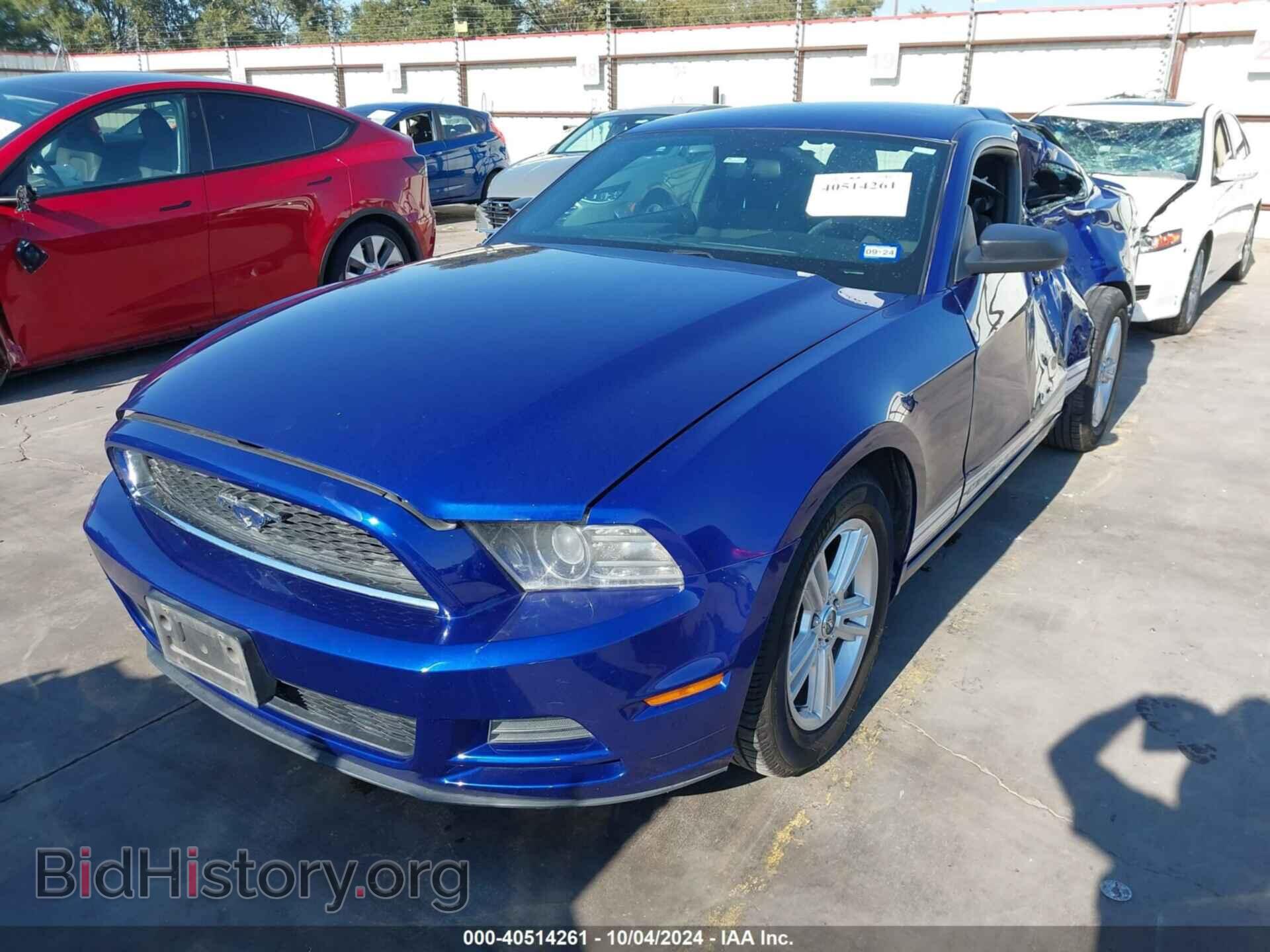 2013 FORD MUSTANG - VIN: 1ZVBP8AM5D5259139 - Фото 2