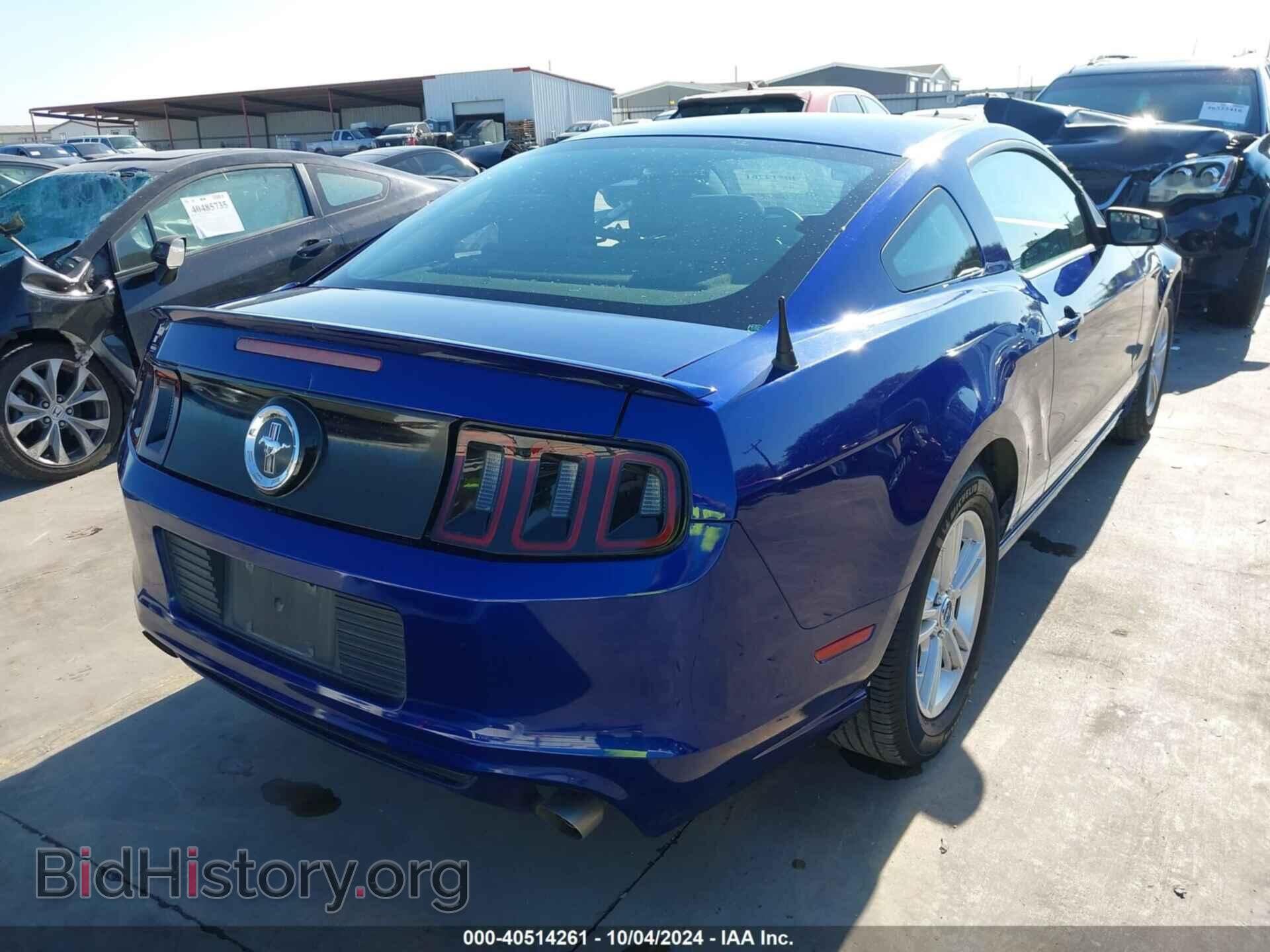 2013 FORD MUSTANG - VIN: 1ZVBP8AM5D5259139 - Фото 4
