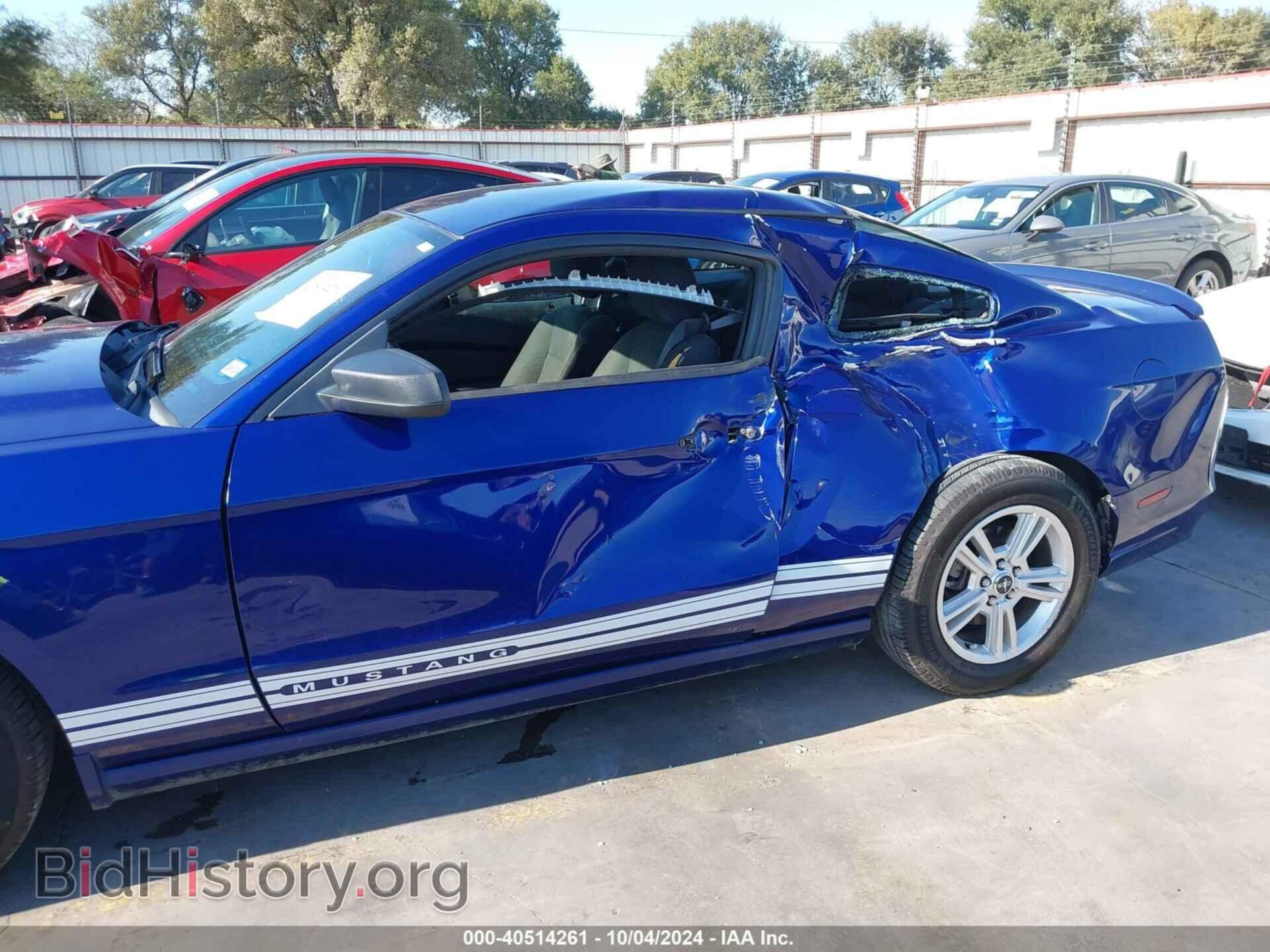 2013 FORD MUSTANG - VIN: 1ZVBP8AM5D5259139 - Фото 6