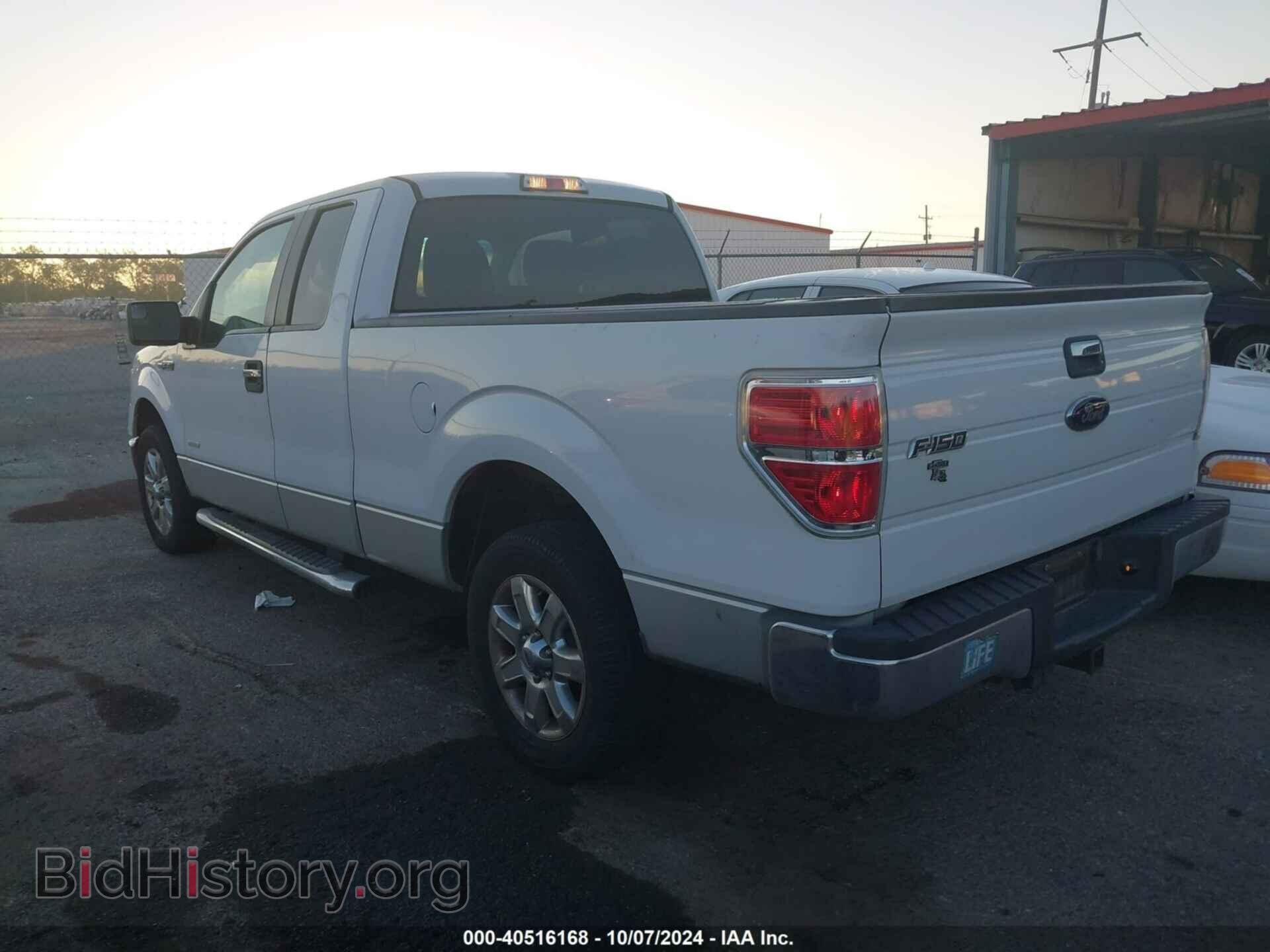 2013 FORD F-150 - VIN: 1FTFX1CT8DFB15465 - Фото 3