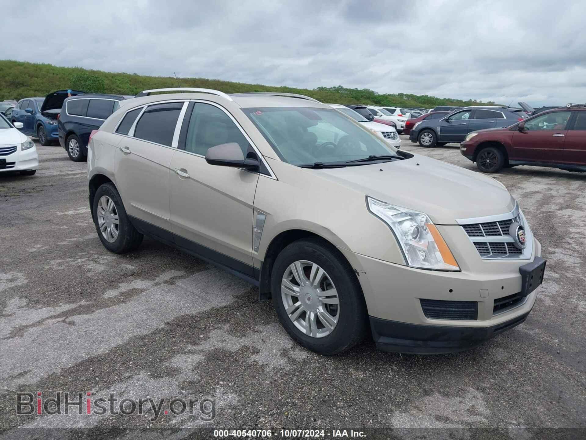 Фотография 3GYFNAE36CS508646 - CADILLAC SRX 2012