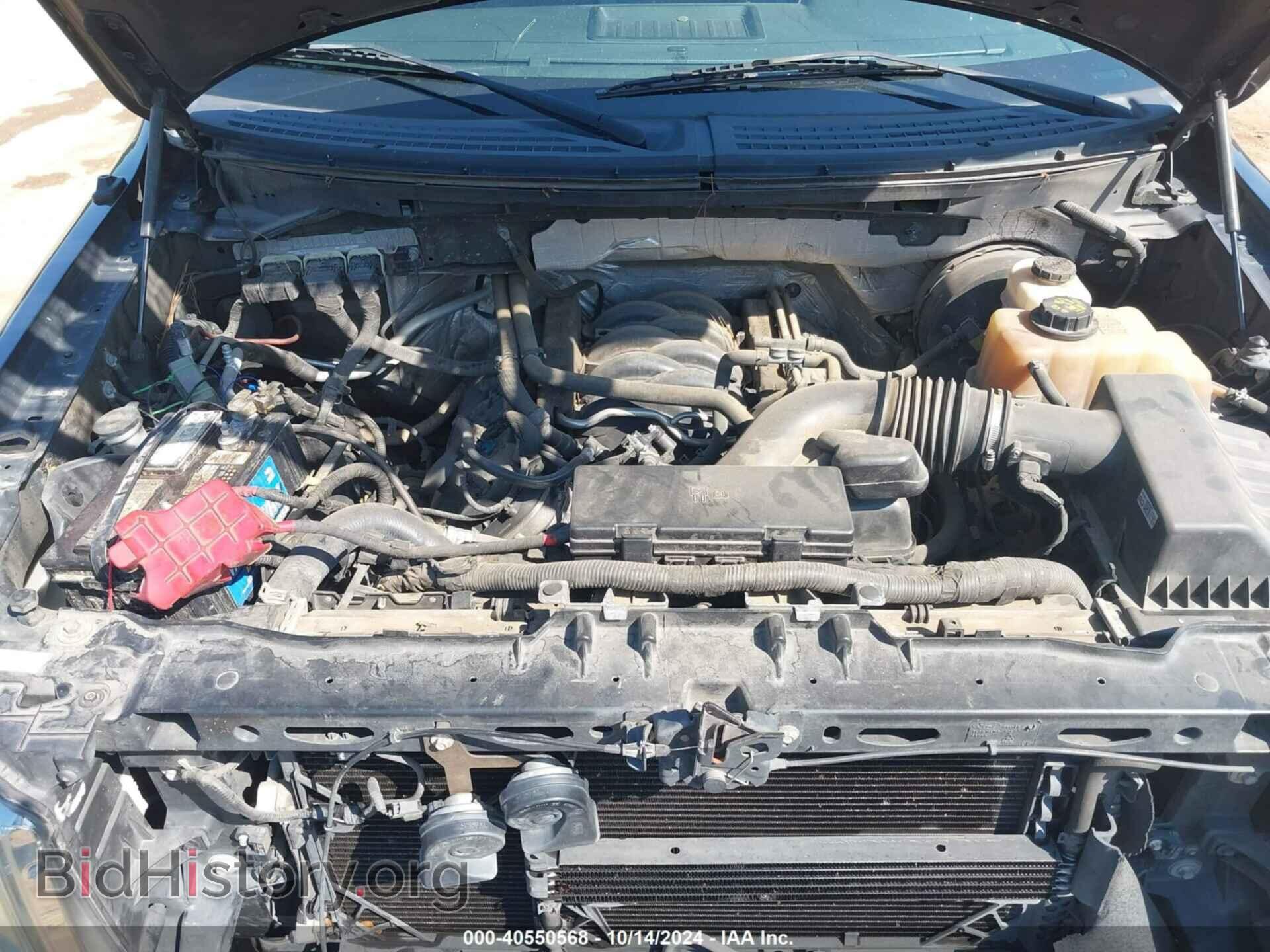 2013 FORD F-150 - VIN: 1FTFX1CF1DFB49645 - Фото 10