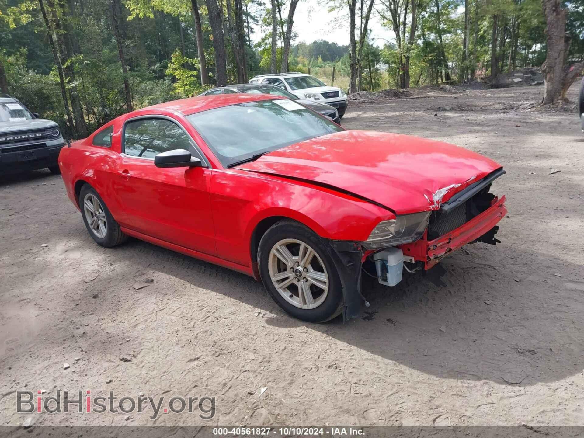 Фотография 1ZVBP8AM8E5334448 - FORD MUSTANG 2014