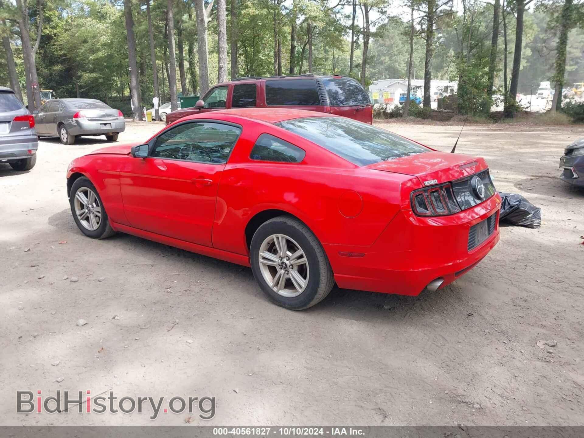 2014 FORD MUSTANG - VIN: 1ZVBP8AM8E5334448 - Фото 3