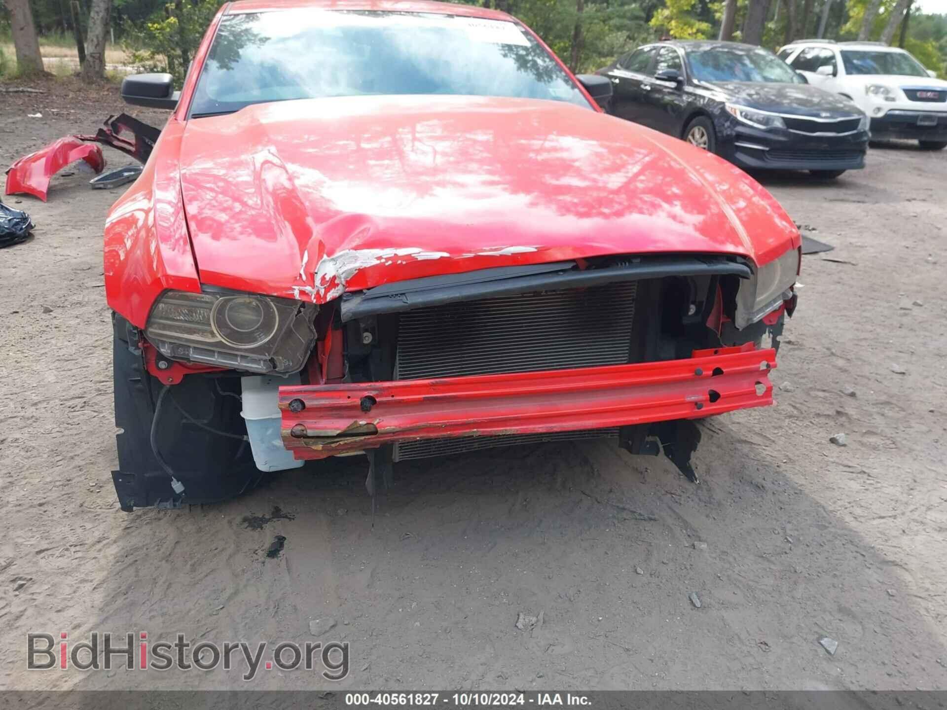 2014 FORD MUSTANG - VIN: 1ZVBP8AM8E5334448 - Фото 6