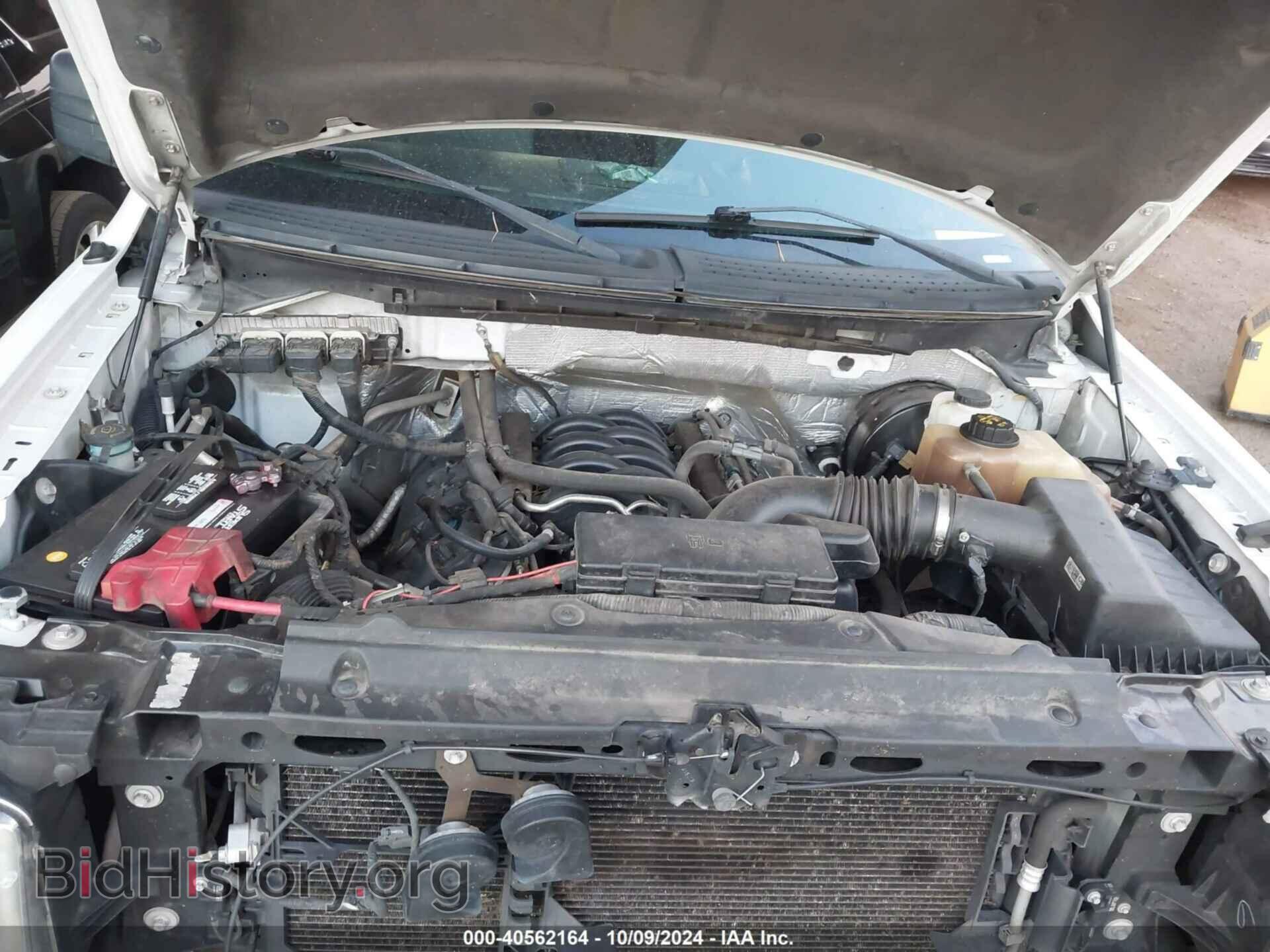 2013 FORD F-150 - VIN: 1FTNF1CF9DKE25110 - Фото 10