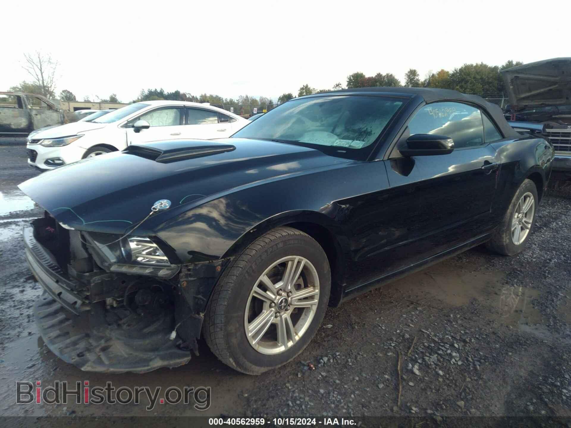 2013 FORD MUSTANG - VIN: 1ZVBP8EM2D5237349 - Фото 2