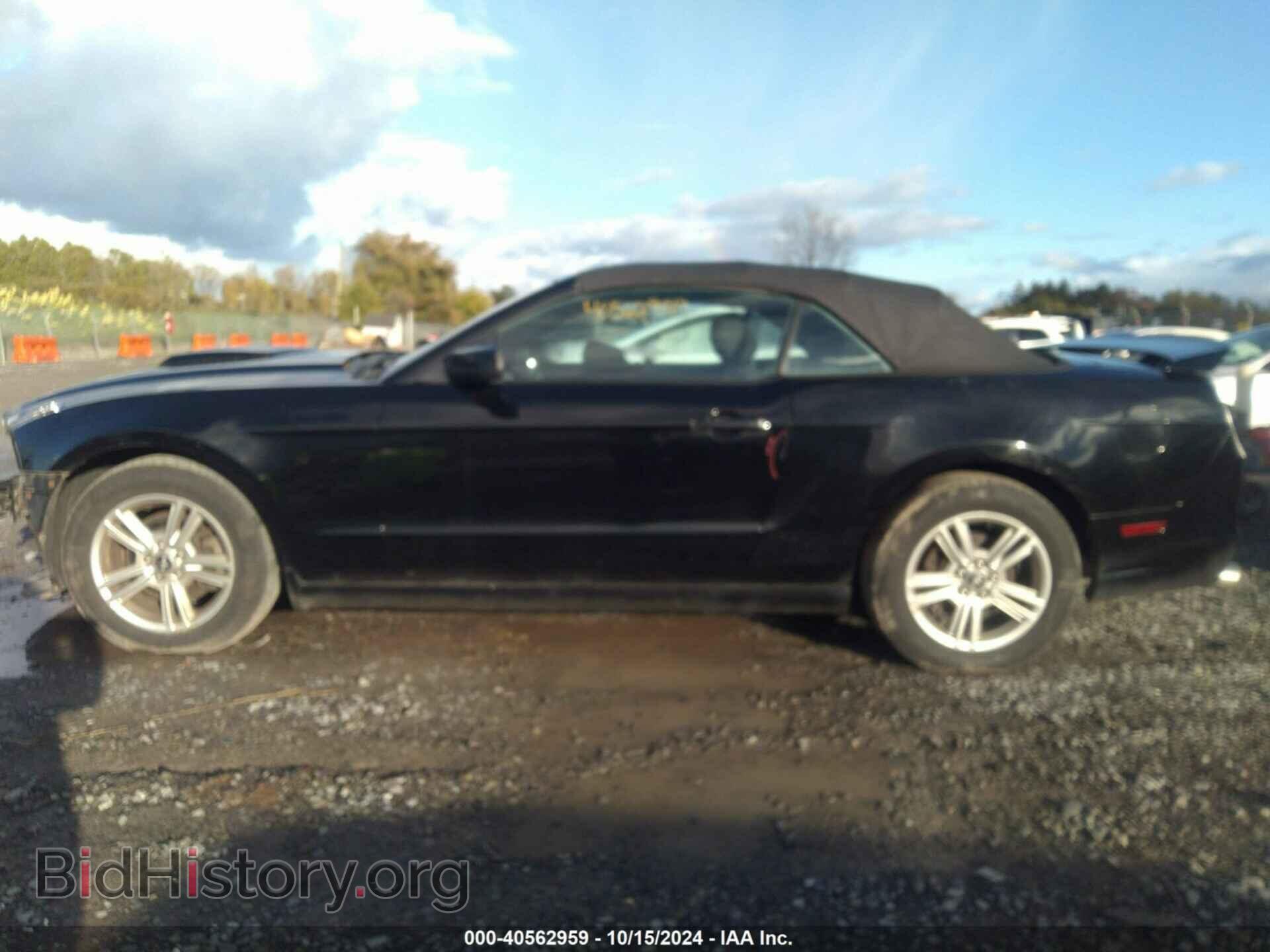 2013 FORD MUSTANG - VIN: 1ZVBP8EM2D5237349 - Фото 15