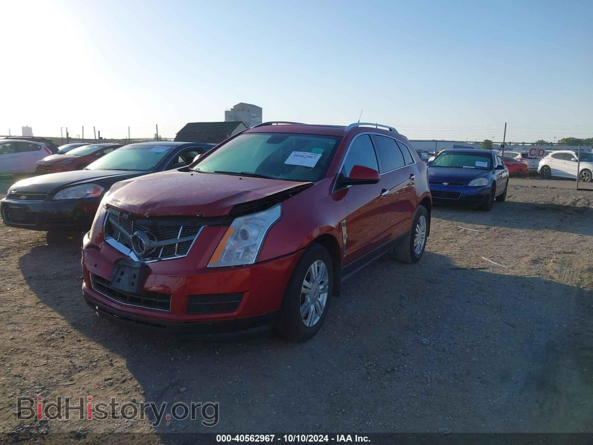 2012 CADILLAC SRX - VIN: 3GYFNAE36CS655565 - Фото 2