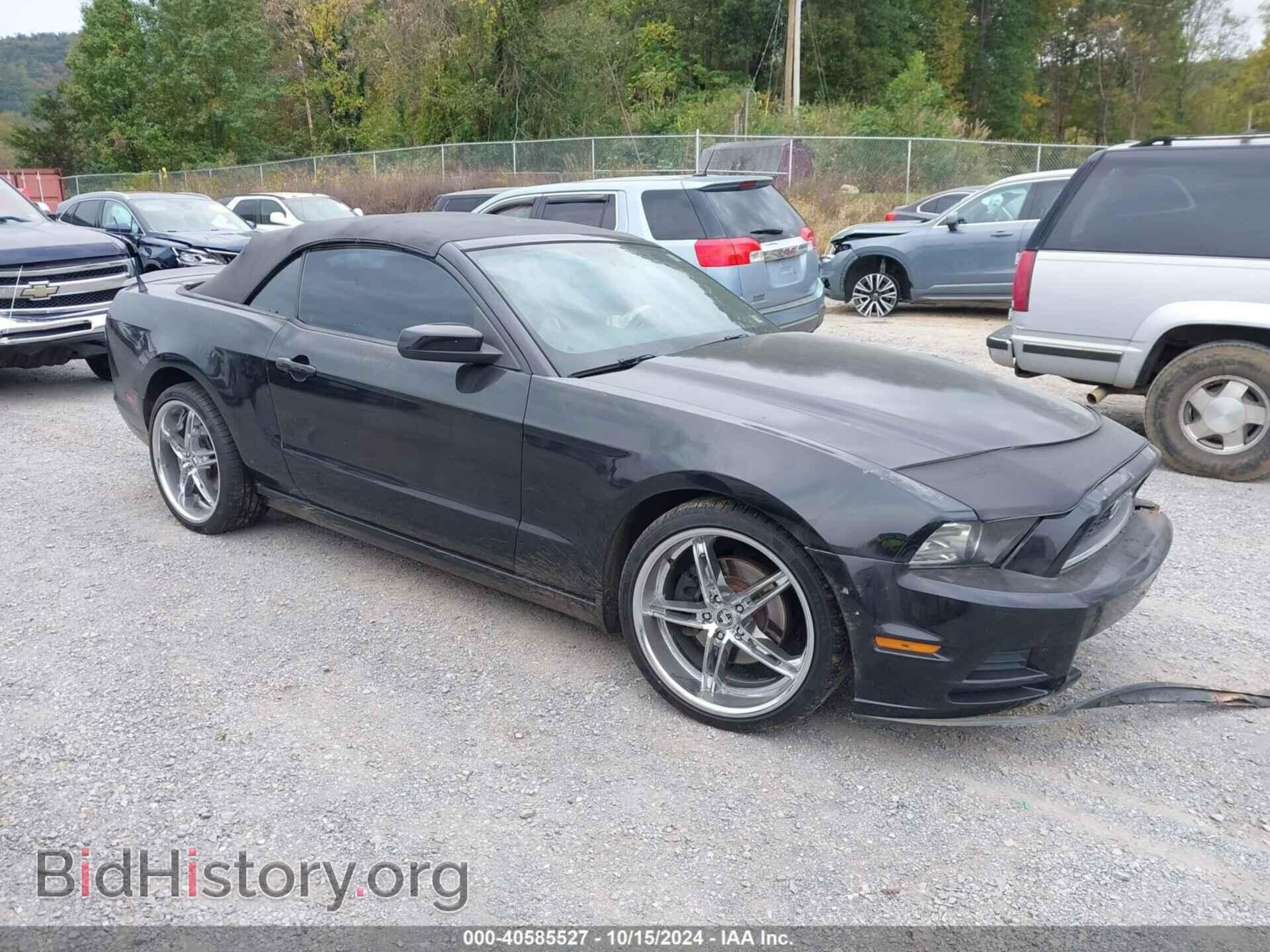 Фотография 1ZVBP8EM3D5211391 - FORD MUSTANG 2013