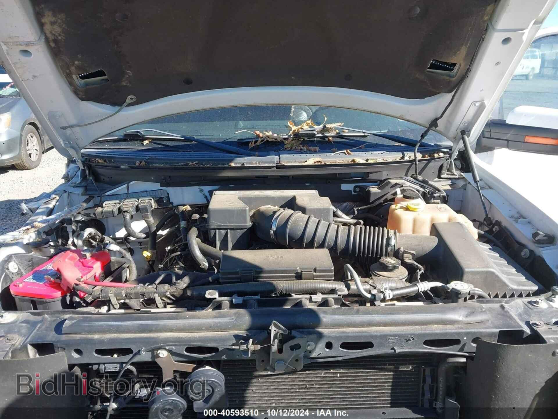 2010 FORD F-150 - VIN: 1FTEX1E69AFC78821 - Фото 10