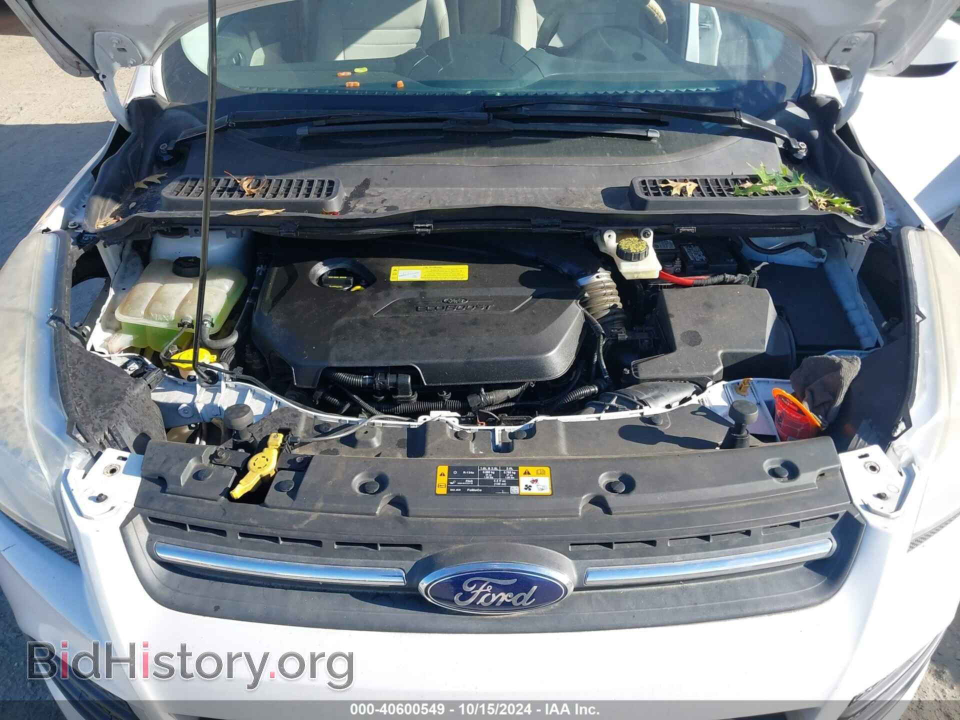 2013 FORD ESCAPE - VIN: 1FMCU9GX7DUD42032 - Фото 10