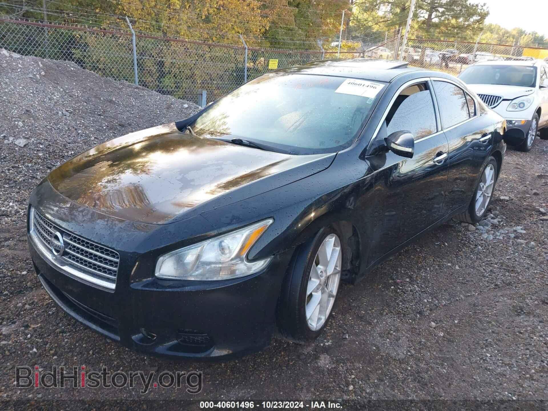 2009 NISSAN MAXIMA - VIN: 1N4AA51E09C816054 - Фото 2