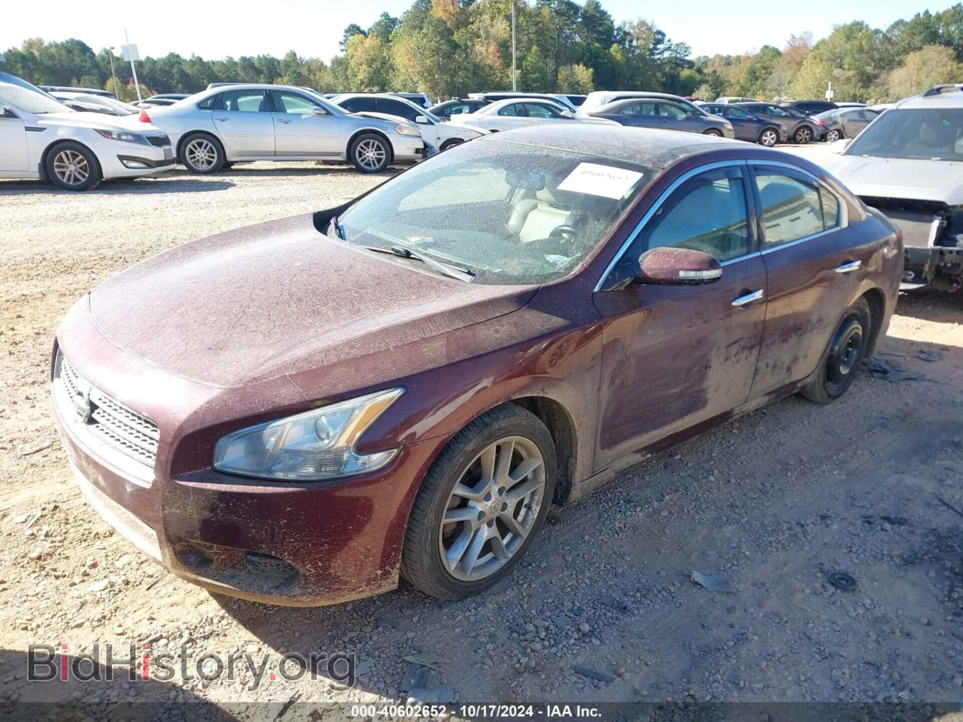 2009 NISSAN MAXIMA - VIN: 1N4AA51EX9C848915 - Фото 2