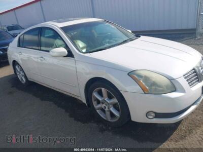 2006 Nissan MAXIMA 3.5 SE, white — VIN 1N4BA41E86C839172, IAAI