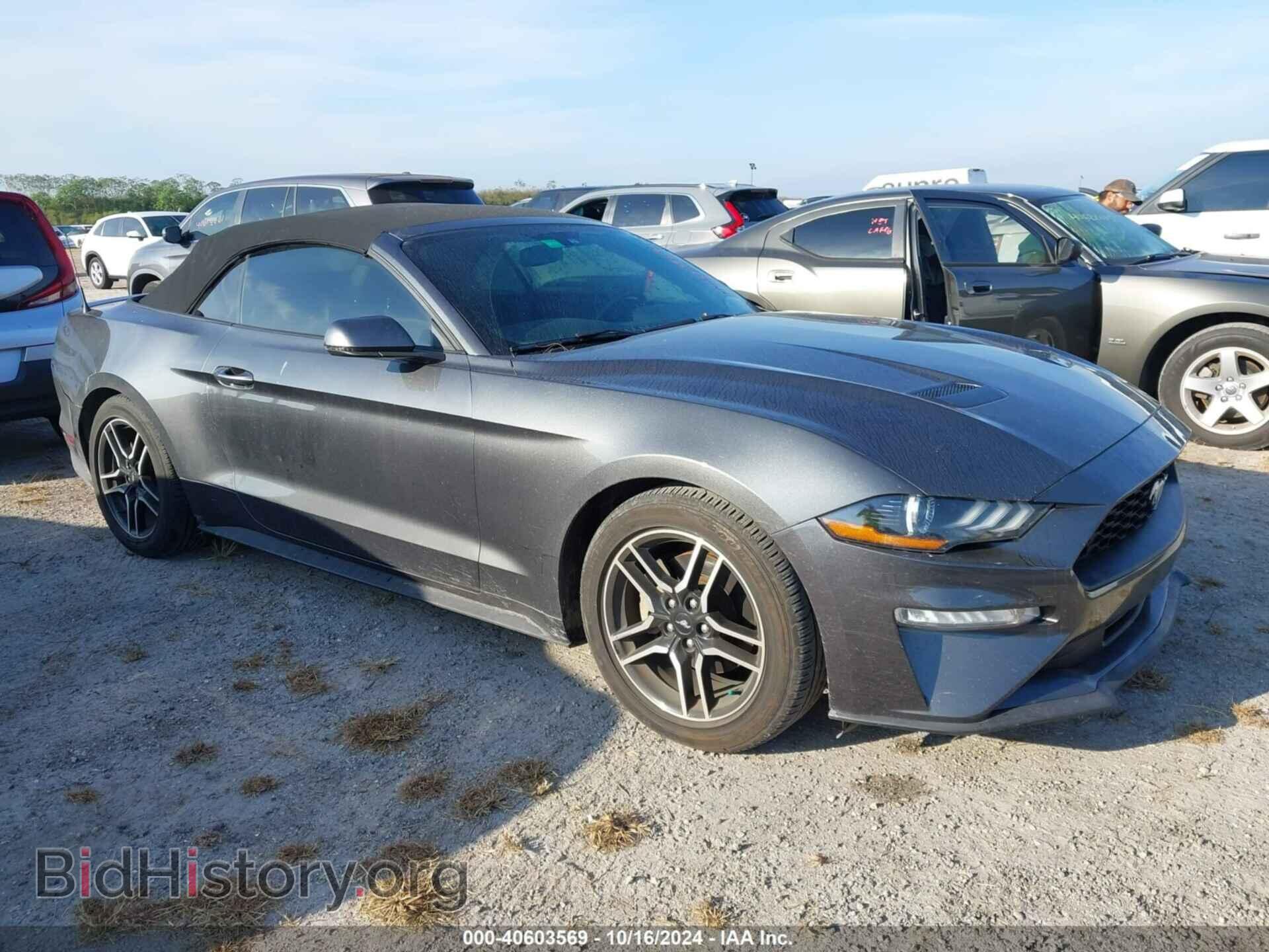 Фотография 1FATP8UH5K5181664 - FORD MUSTANG 2019