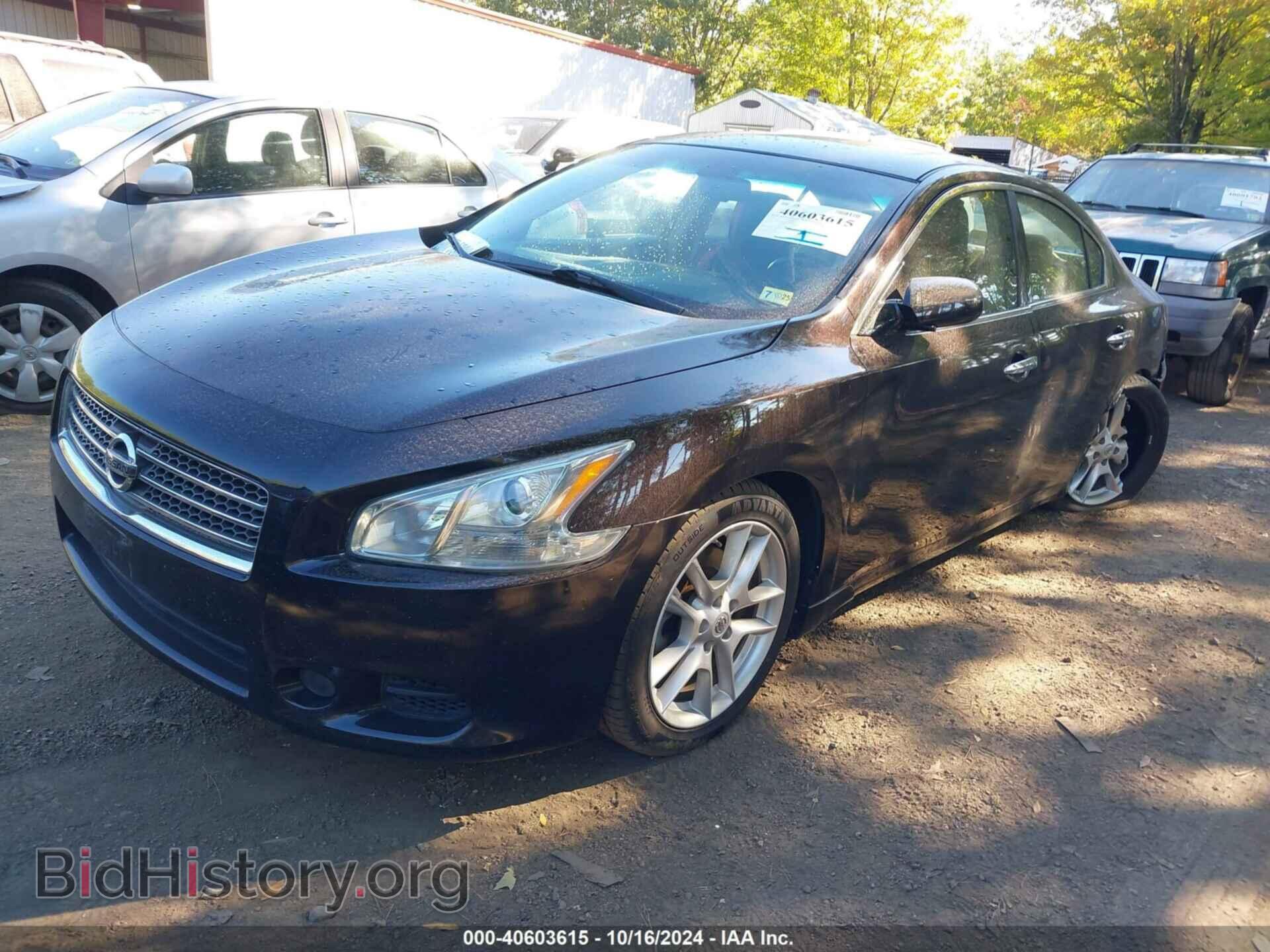 2011 NISSAN MAXIMA - VIN: 1N4AA5AP3BC852182 - Фото 2