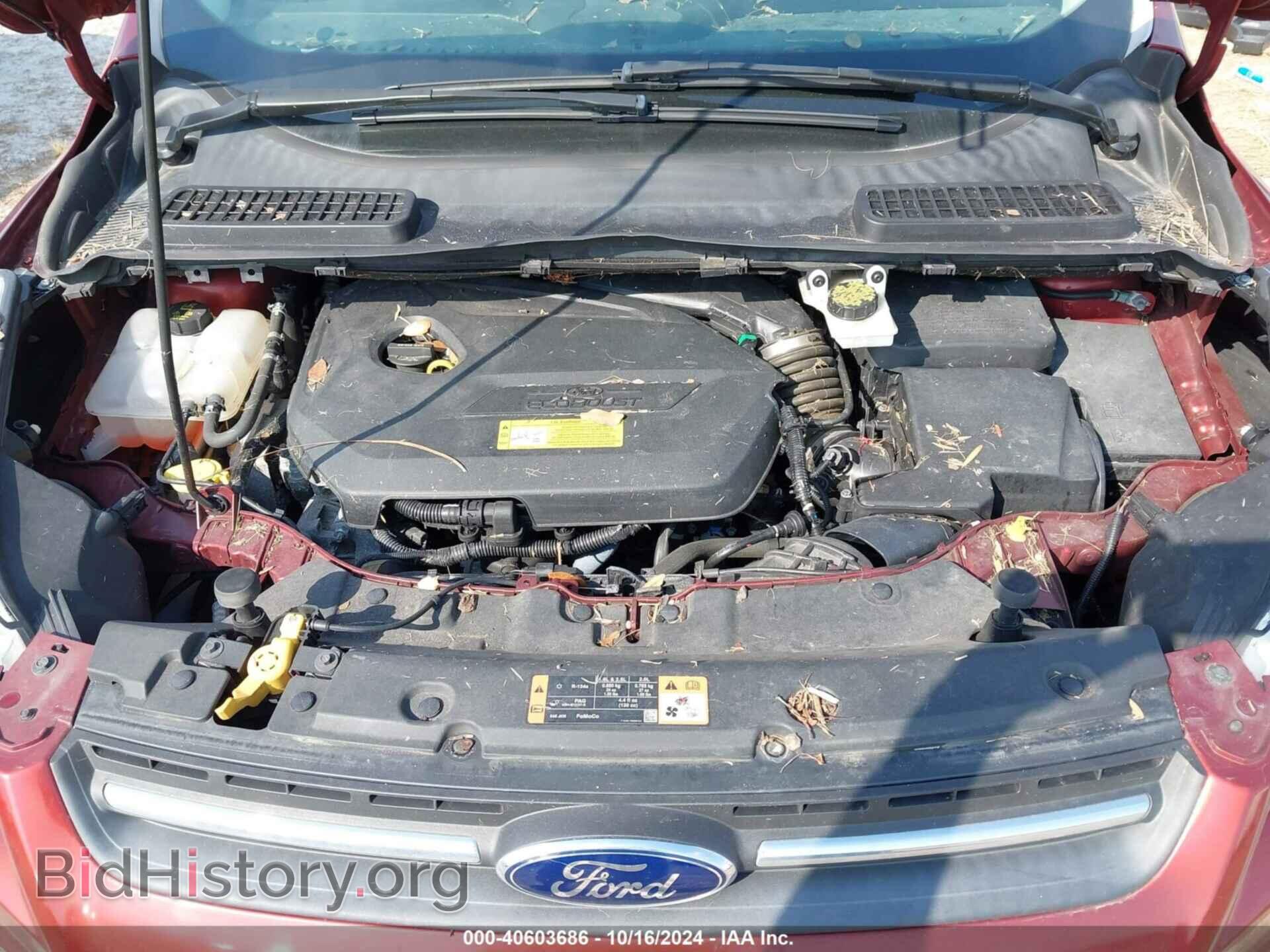 2014 FORD ESCAPE - VIN: 1FMCU0GX7EUC16928 - Фото 10