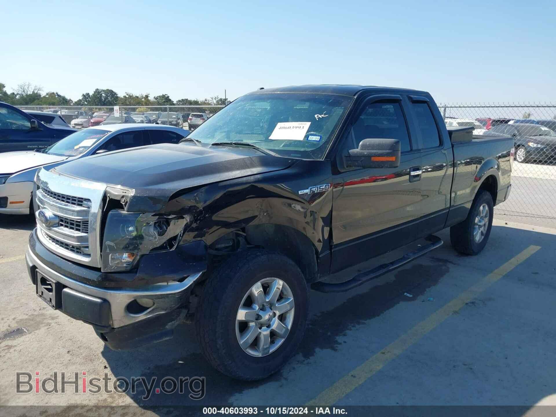 2013 FORD F-150 - VIN: 1FTFX1EF4DFC51759 - Фото 2