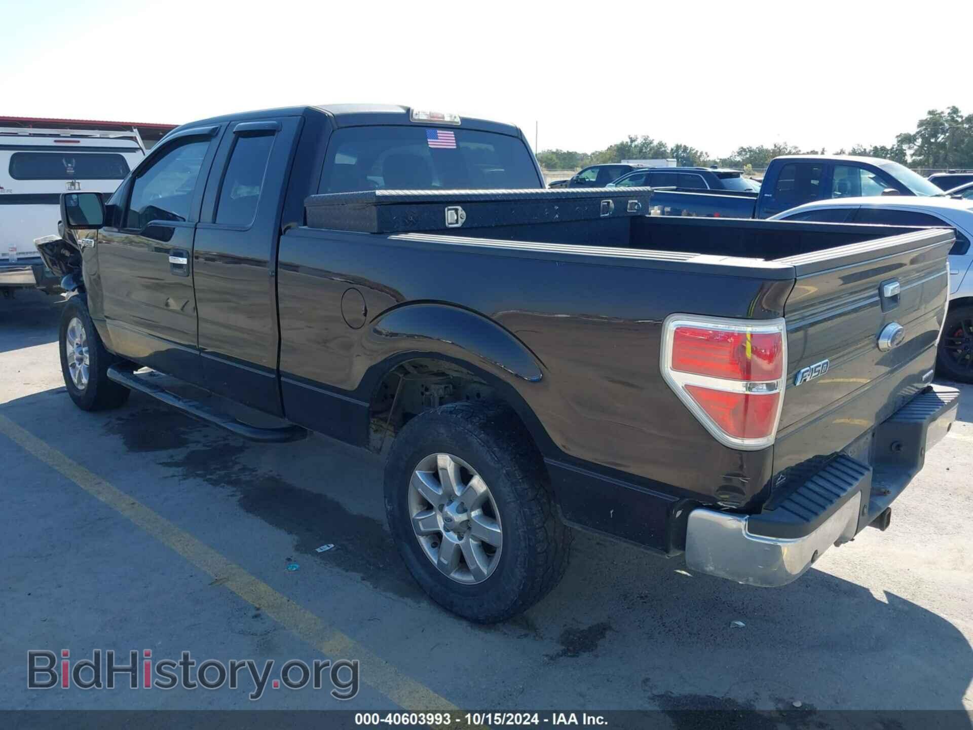2013 FORD F-150 - VIN: 1FTFX1EF4DFC51759 - Фото 3