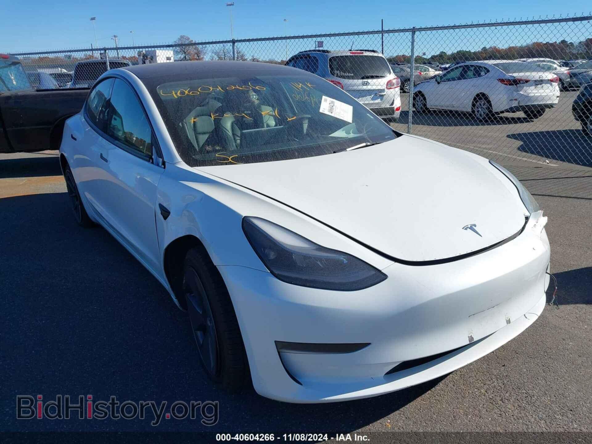 Фотография 5YJ3E1EA3PF501868 - TESLA MODEL 3 2023