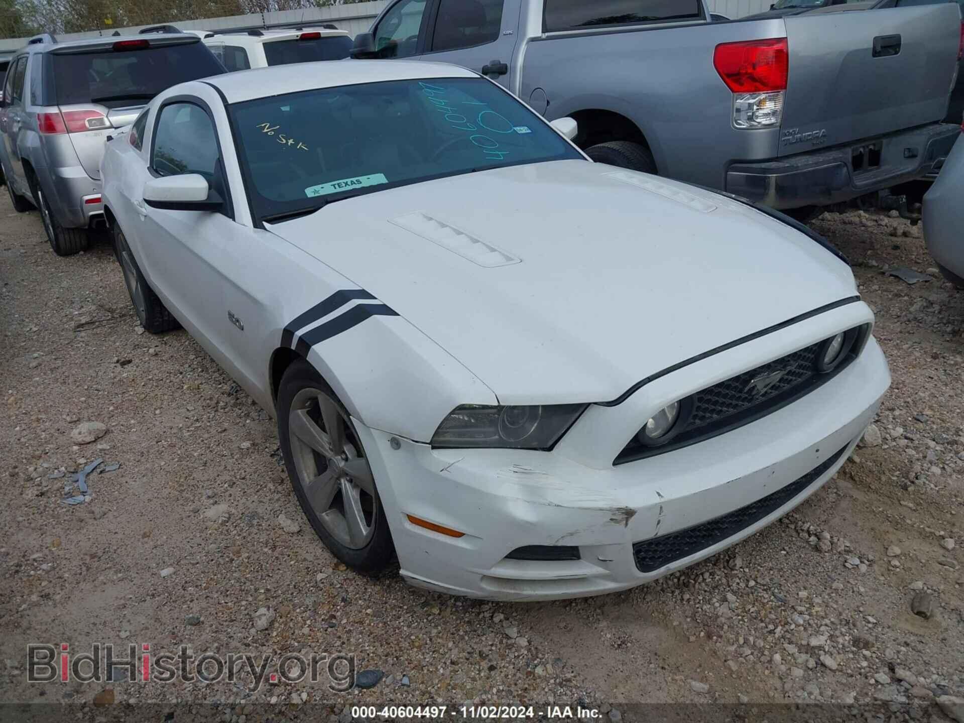 Фотография 1ZVBP8CF4E5238587 - FORD MUSTANG 2014