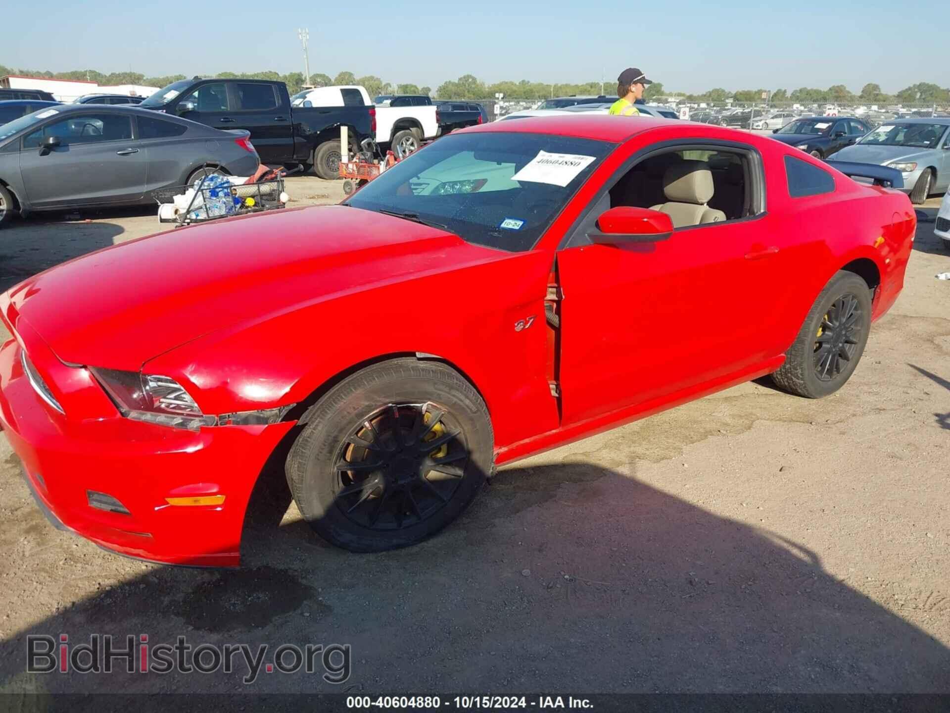 2014 FORD MUSTANG - VIN: 1ZVBP8AM0E5264699 - Фото 2