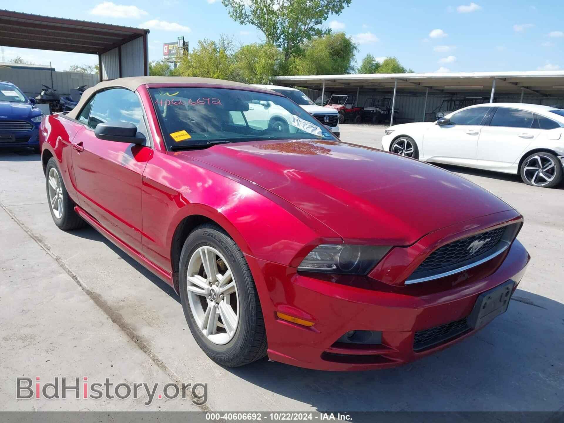 Фотография 1ZVBP8EM4E5250539 - FORD MUSTANG 2014