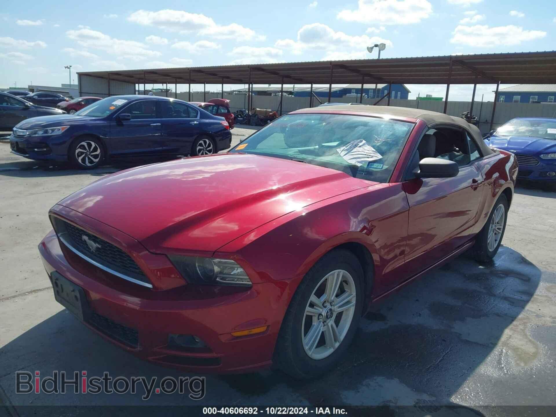 2014 FORD MUSTANG - VIN: 1ZVBP8EM4E5250539 - Фото 2