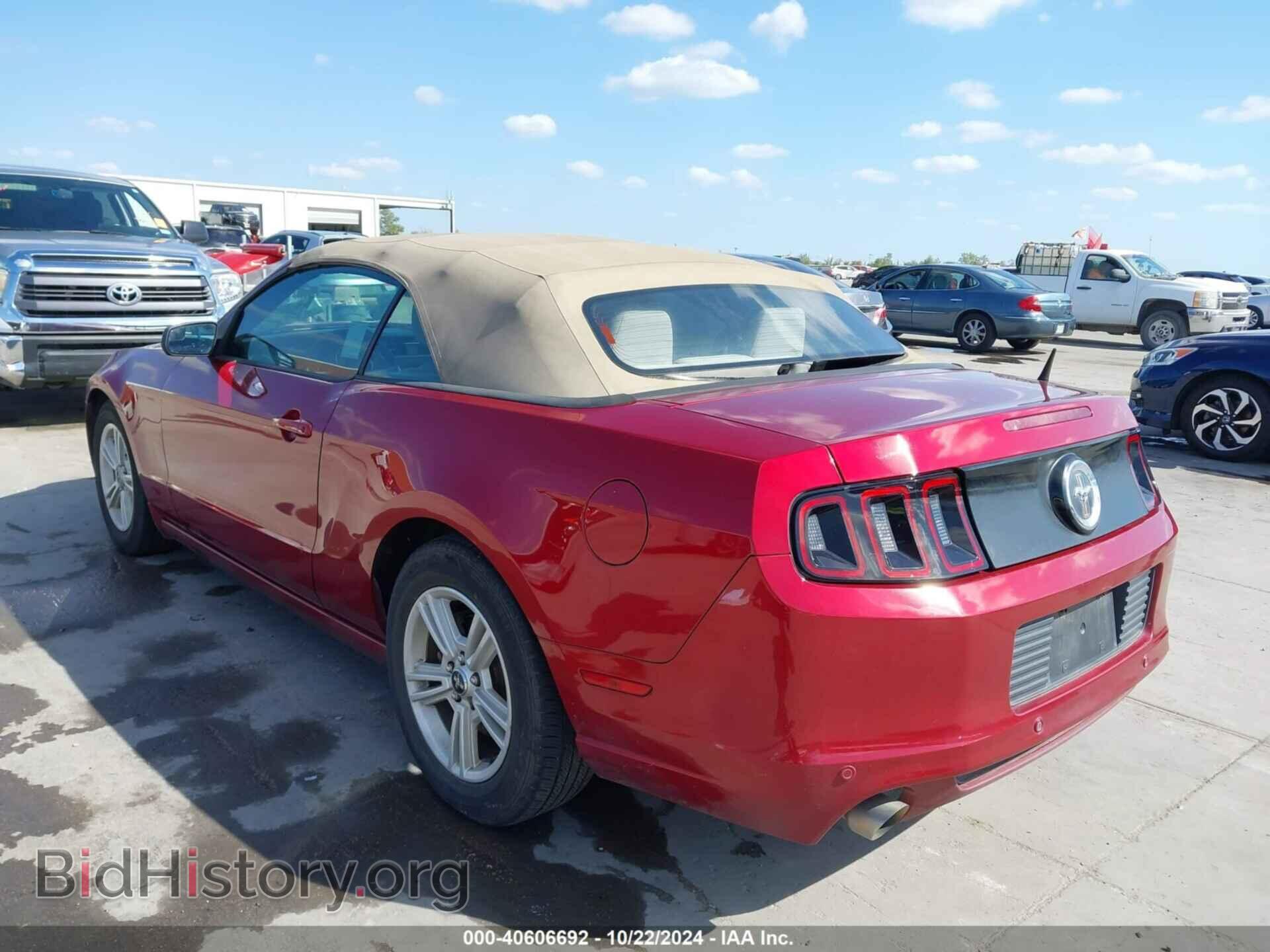 2014 FORD MUSTANG - VIN: 1ZVBP8EM4E5250539 - Фото 3