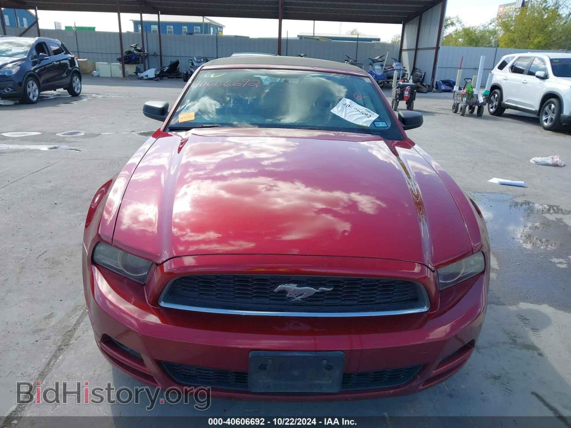 2014 FORD MUSTANG - VIN: 1ZVBP8EM4E5250539 - Фото 6