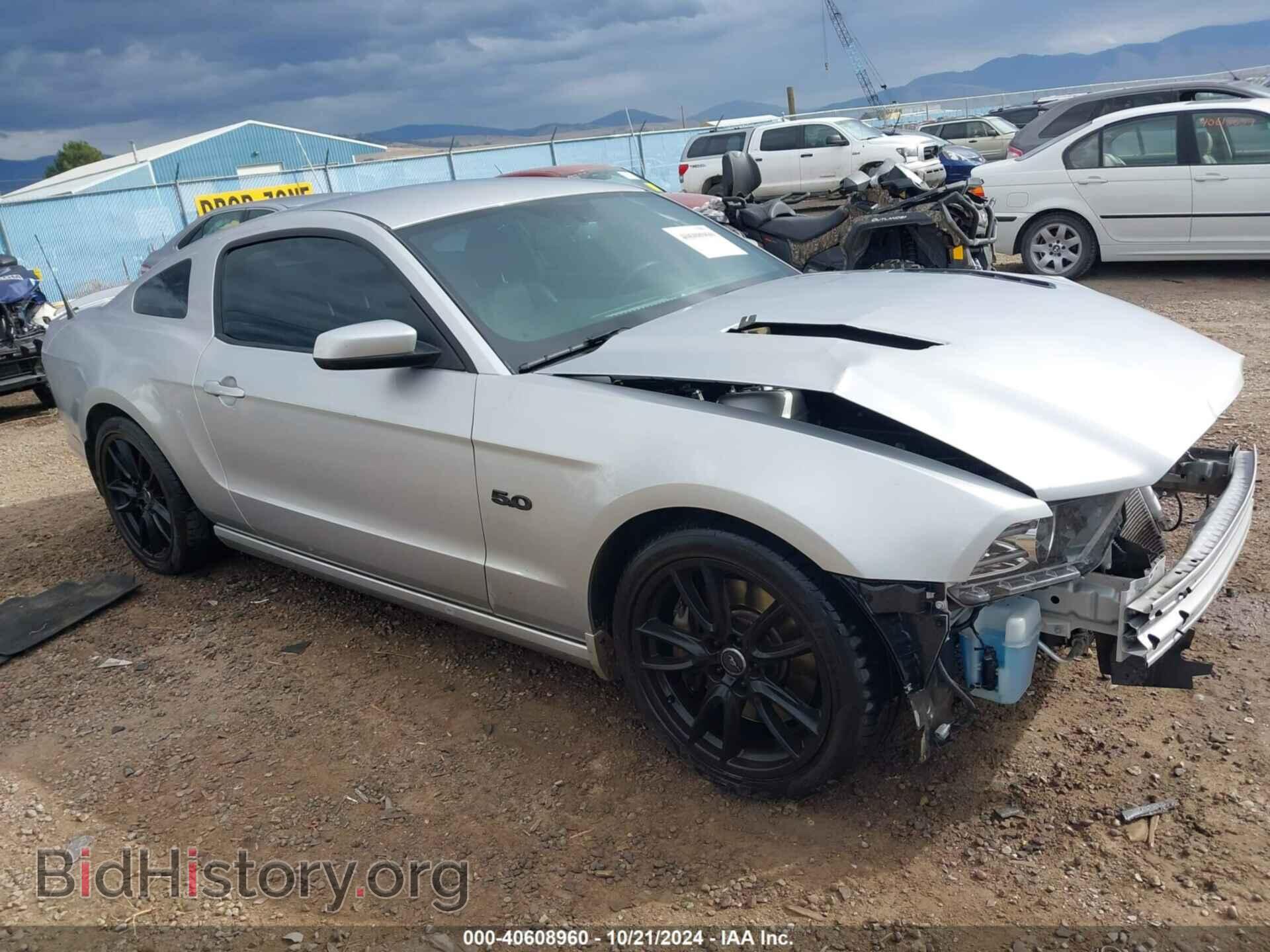 Фотография 1ZVBP8CF2E5228933 - FORD MUSTANG 2014