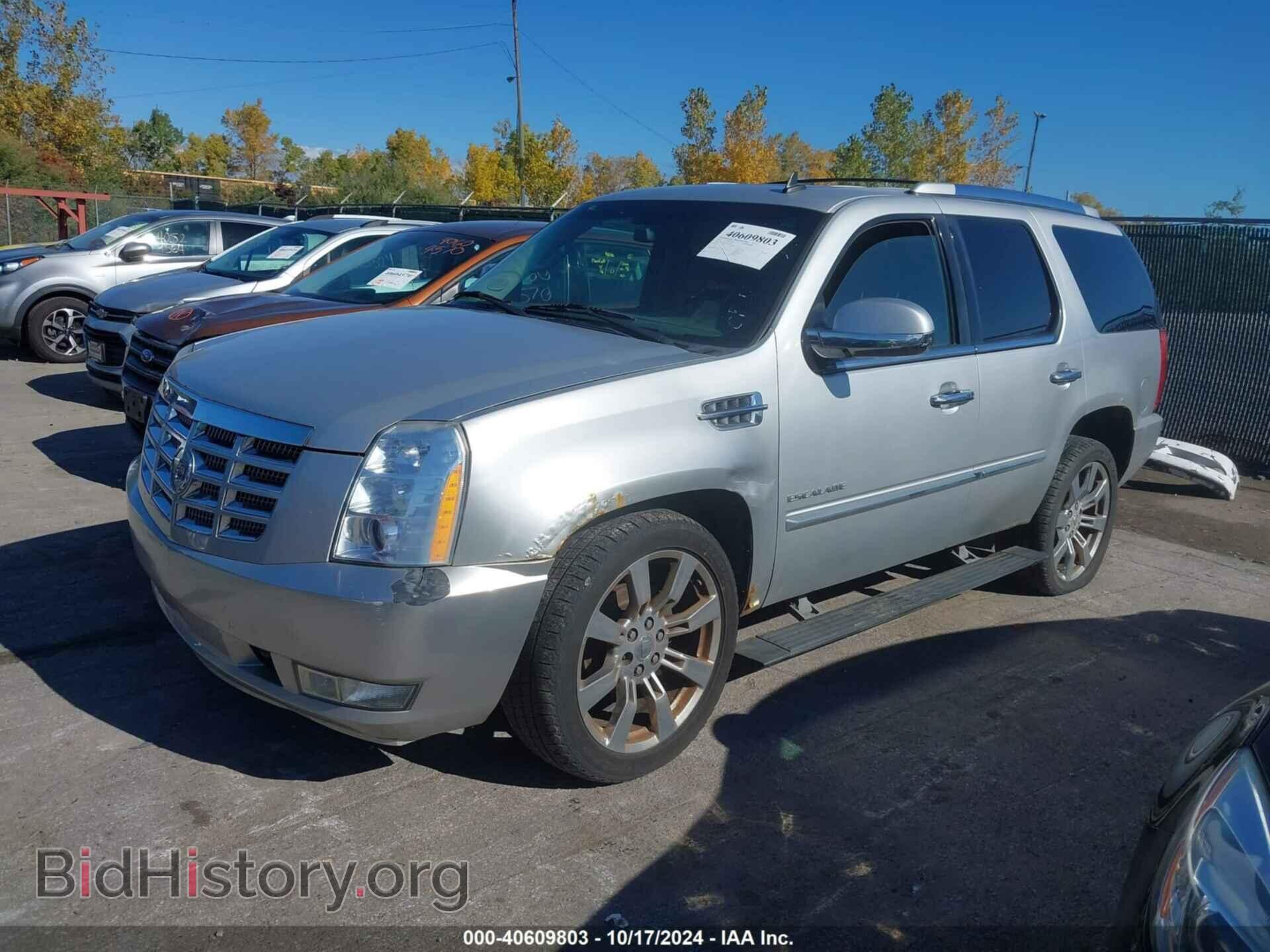 2010 CADILLAC ESCALADE - VIN: 1GYUKCEF8AR146972 - Фото 2