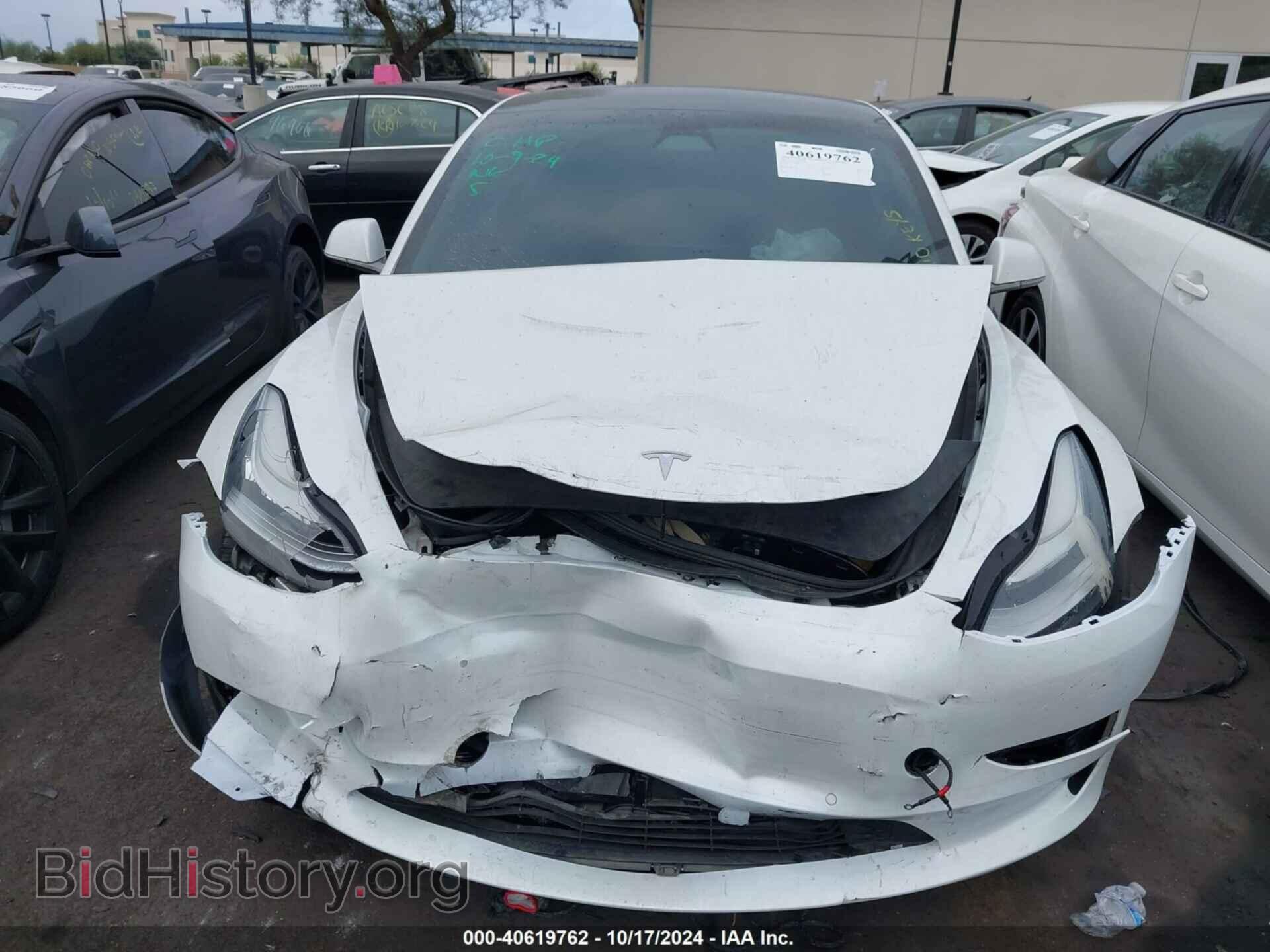 2019 TESLA MODEL 3 - VIN: 5YJ3E1EA2KF317482 - Фото 12