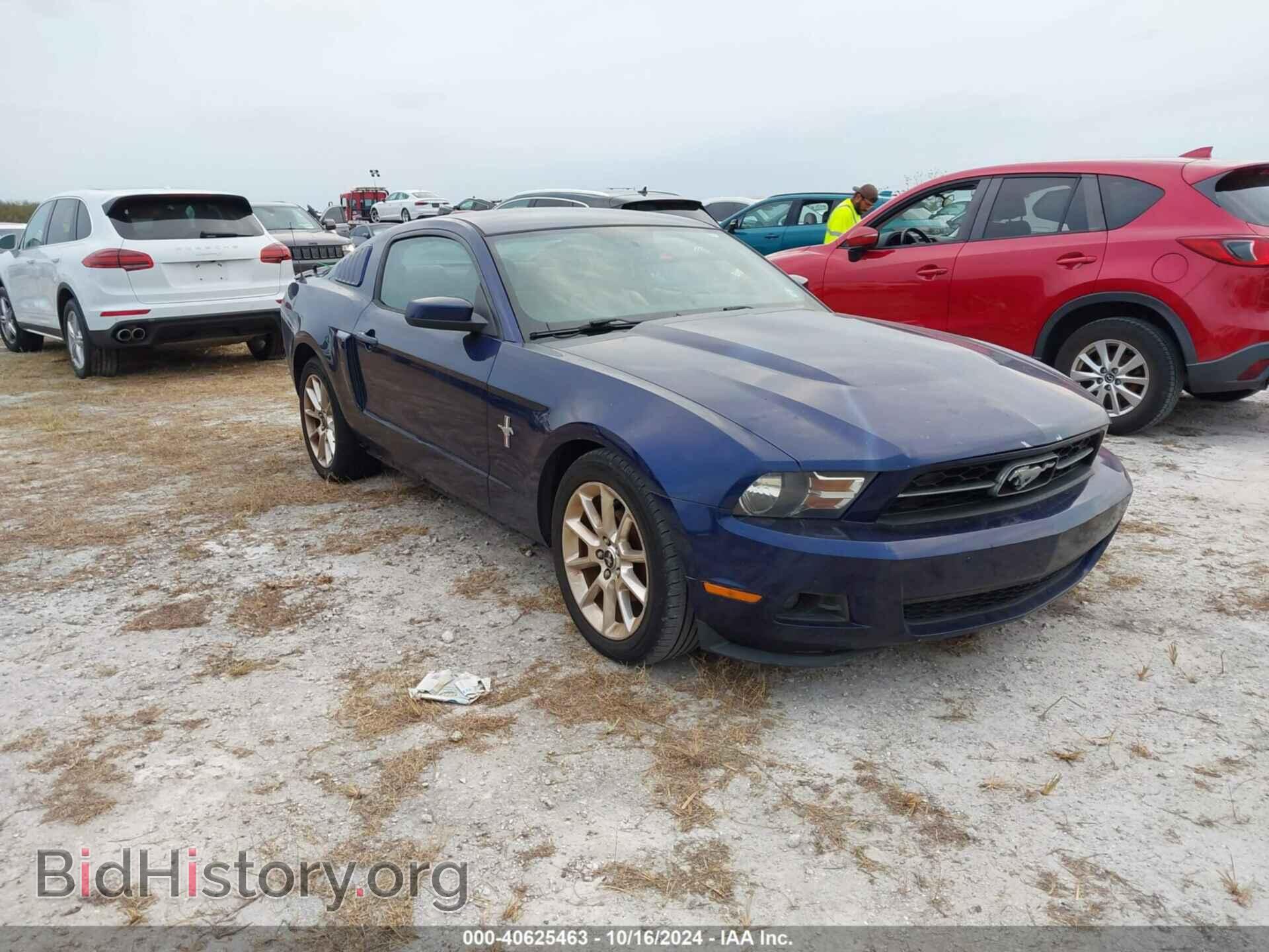 Фотография 1ZVBP8AN3A5149517 - FORD MUSTANG 2010