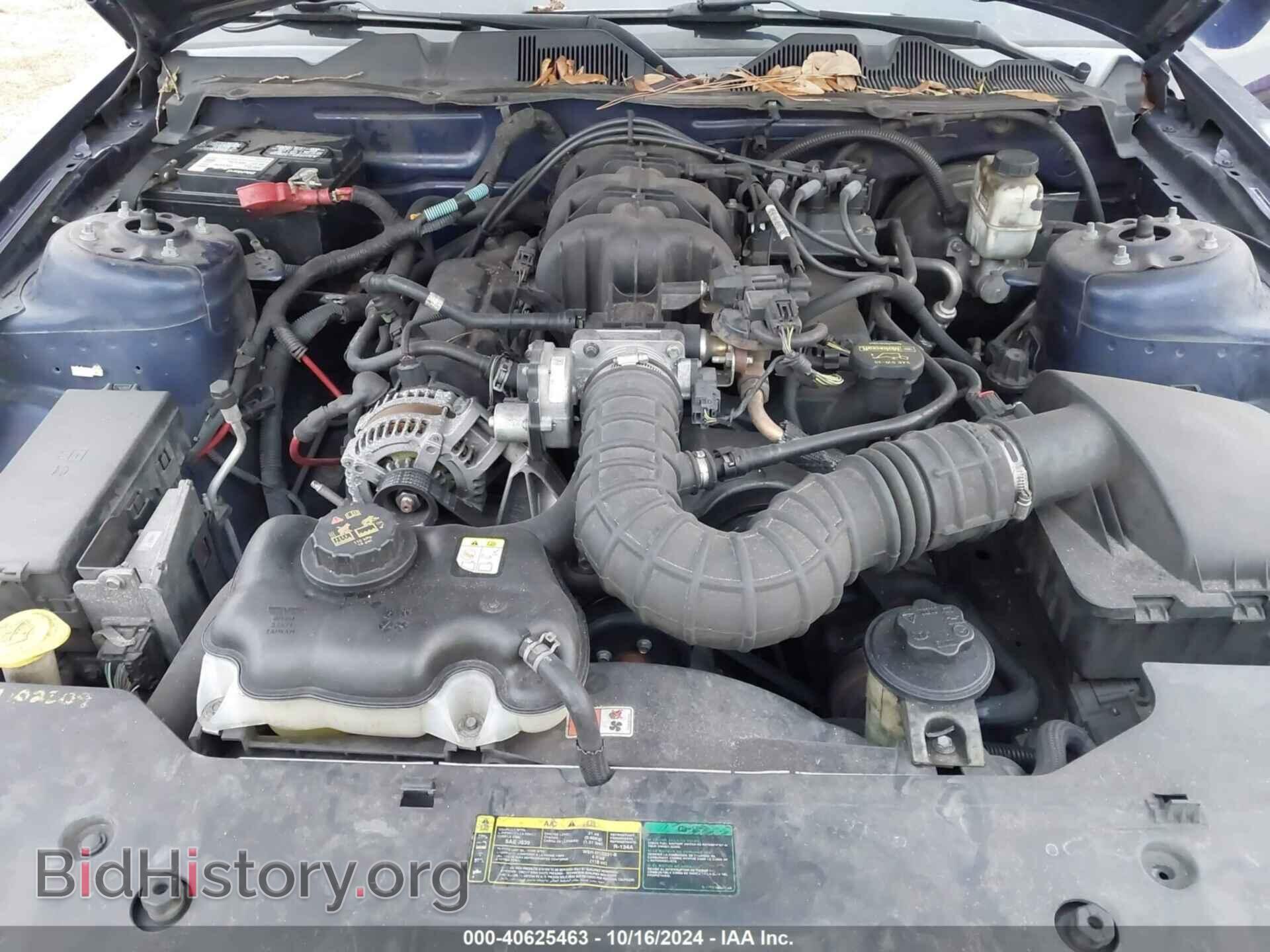 2010 FORD MUSTANG - VIN: 1ZVBP8AN3A5149517 - Фото 10